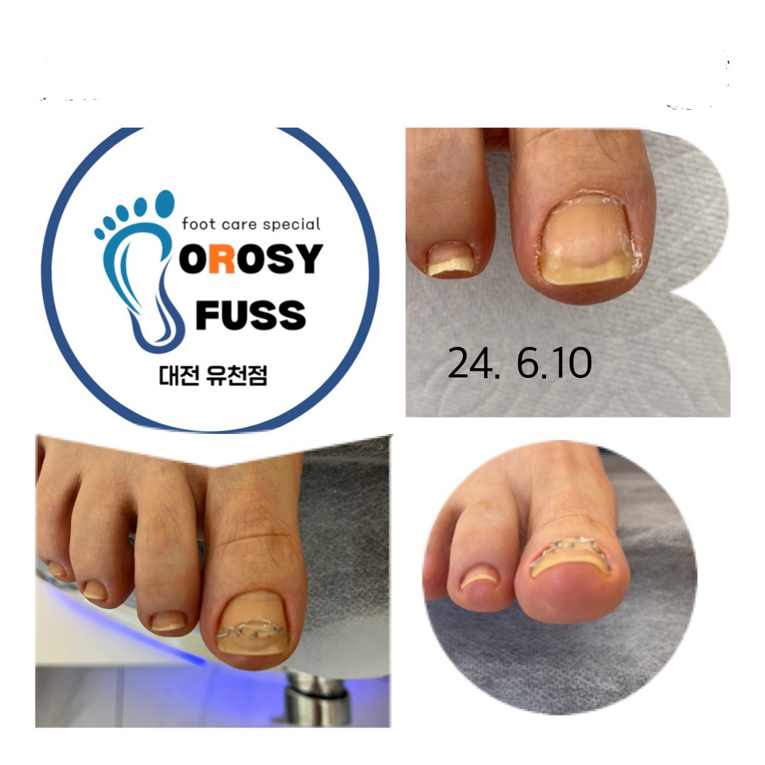 212네일&오로지푸스 대전유천점