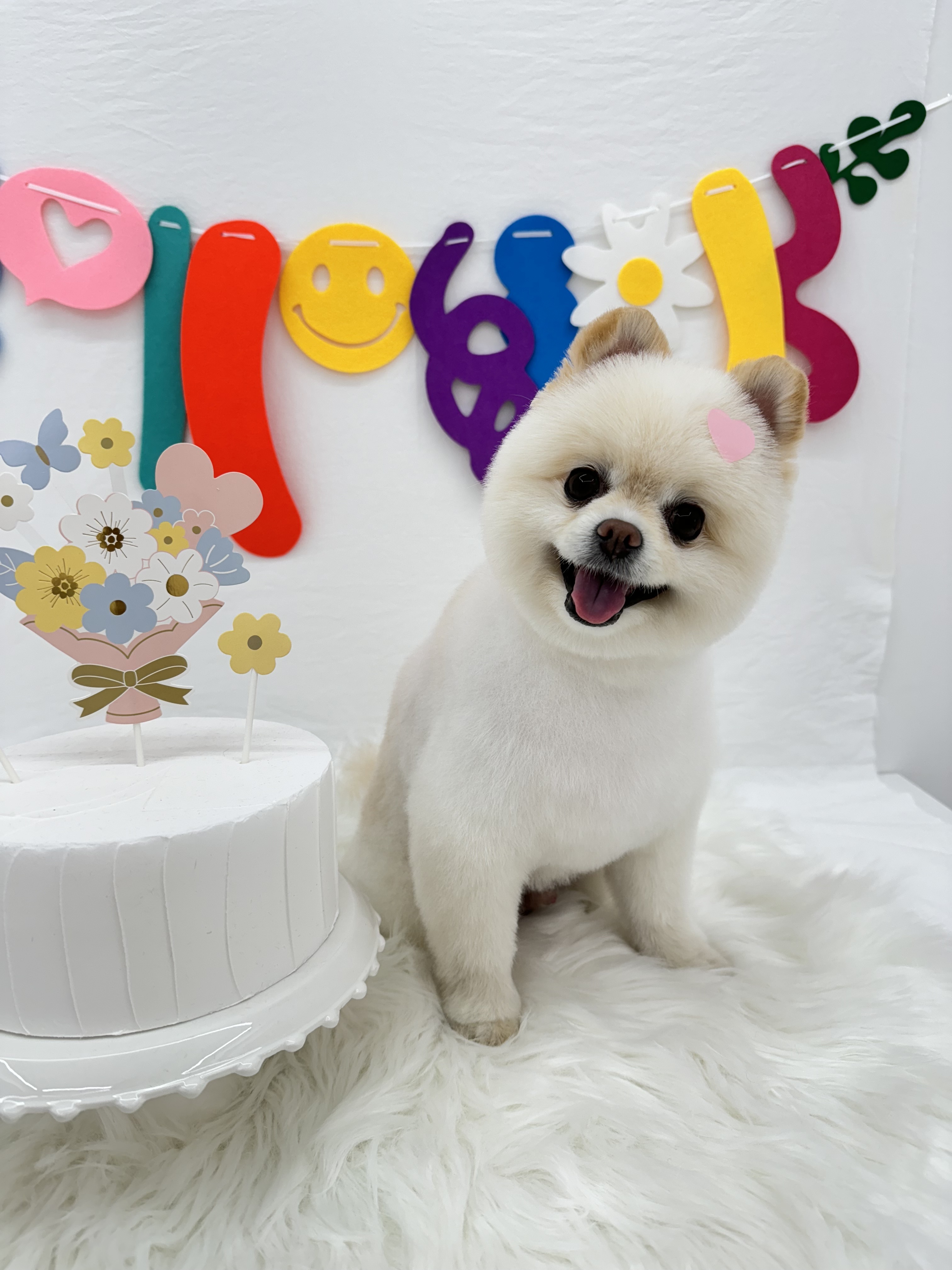 댕복한하루 대표 이미지