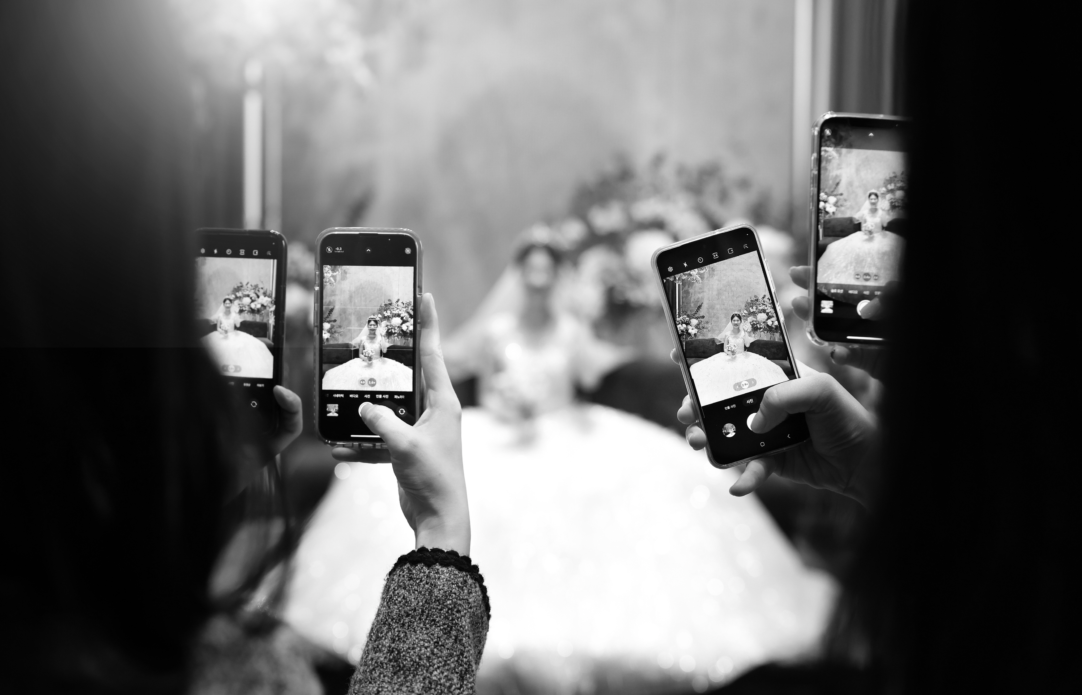 웨딩스냅 까미유 대표 이미지