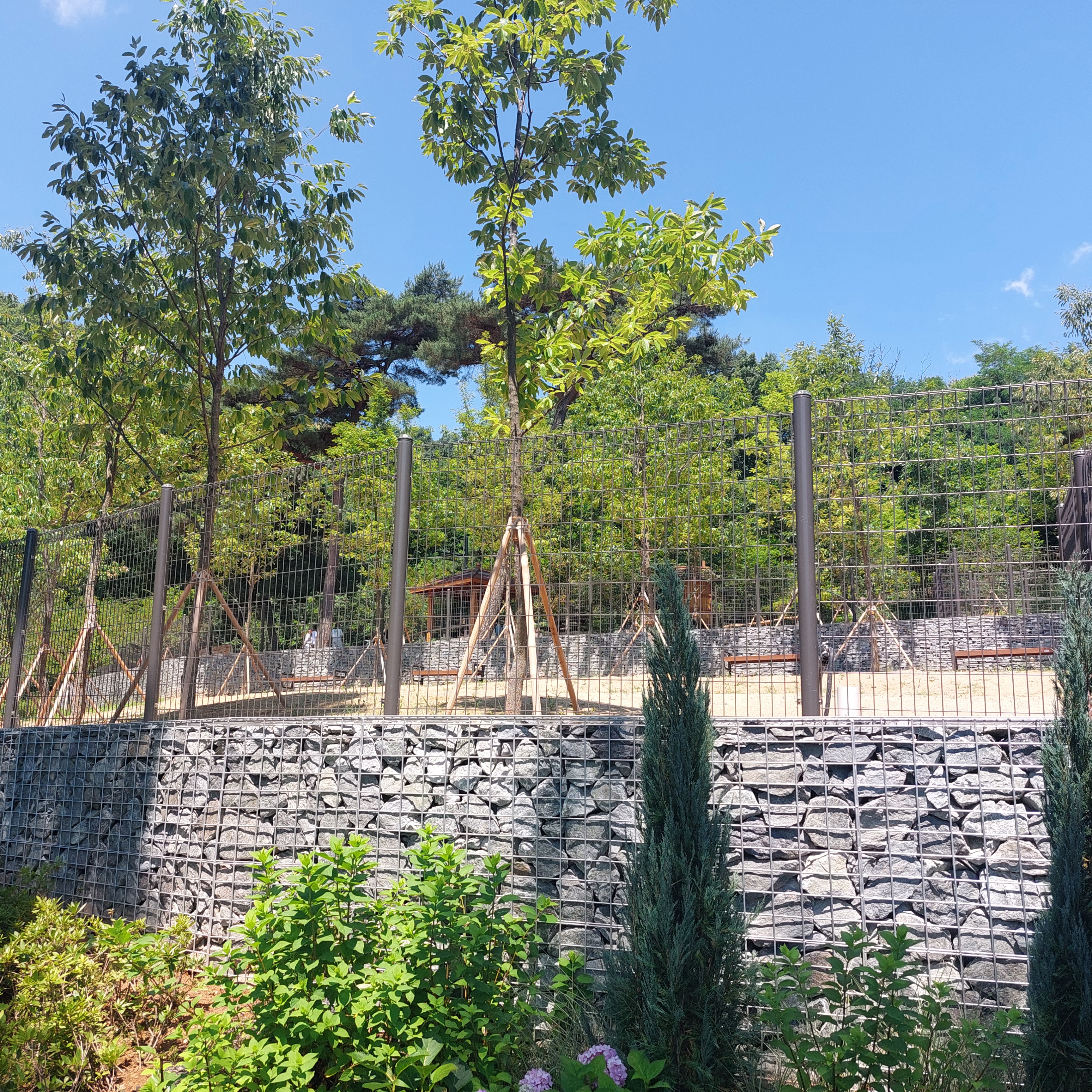 은평구 반려견 놀이터 대표 이미지