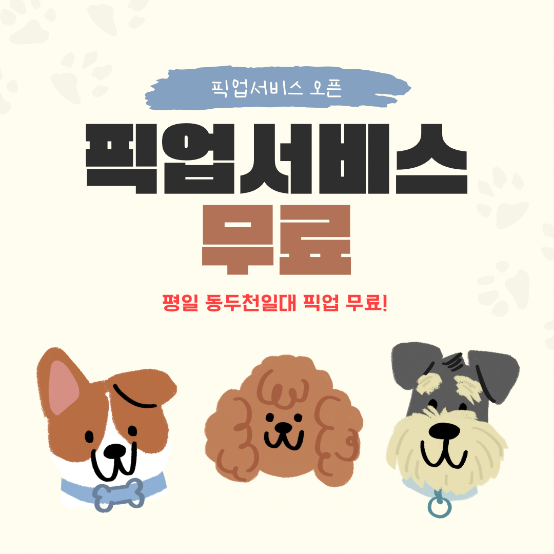 멍멍이네미용실