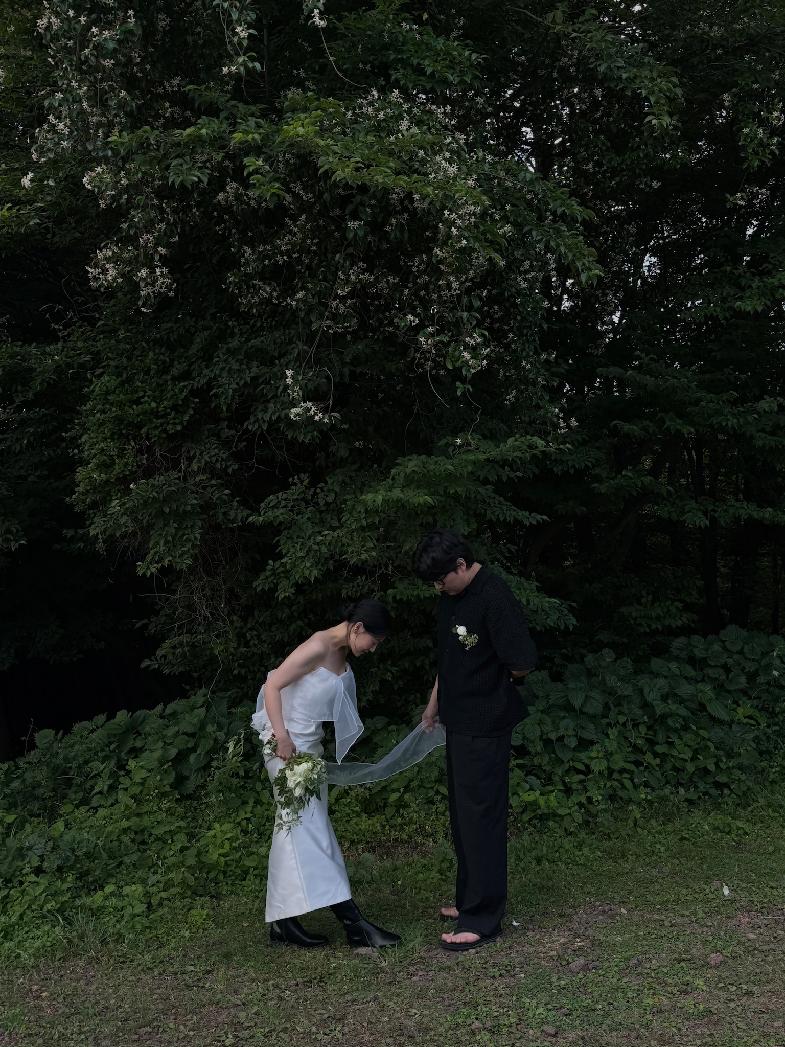 페페 대표 이미지