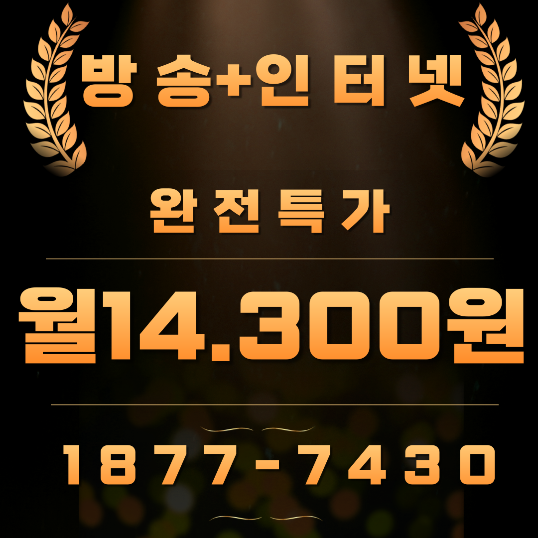 SK 티브로드 한빛방송 새한정보통신