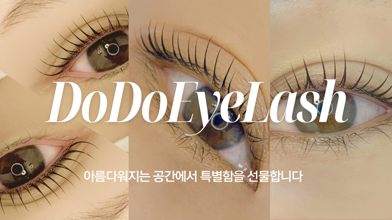 도도속눈썹
