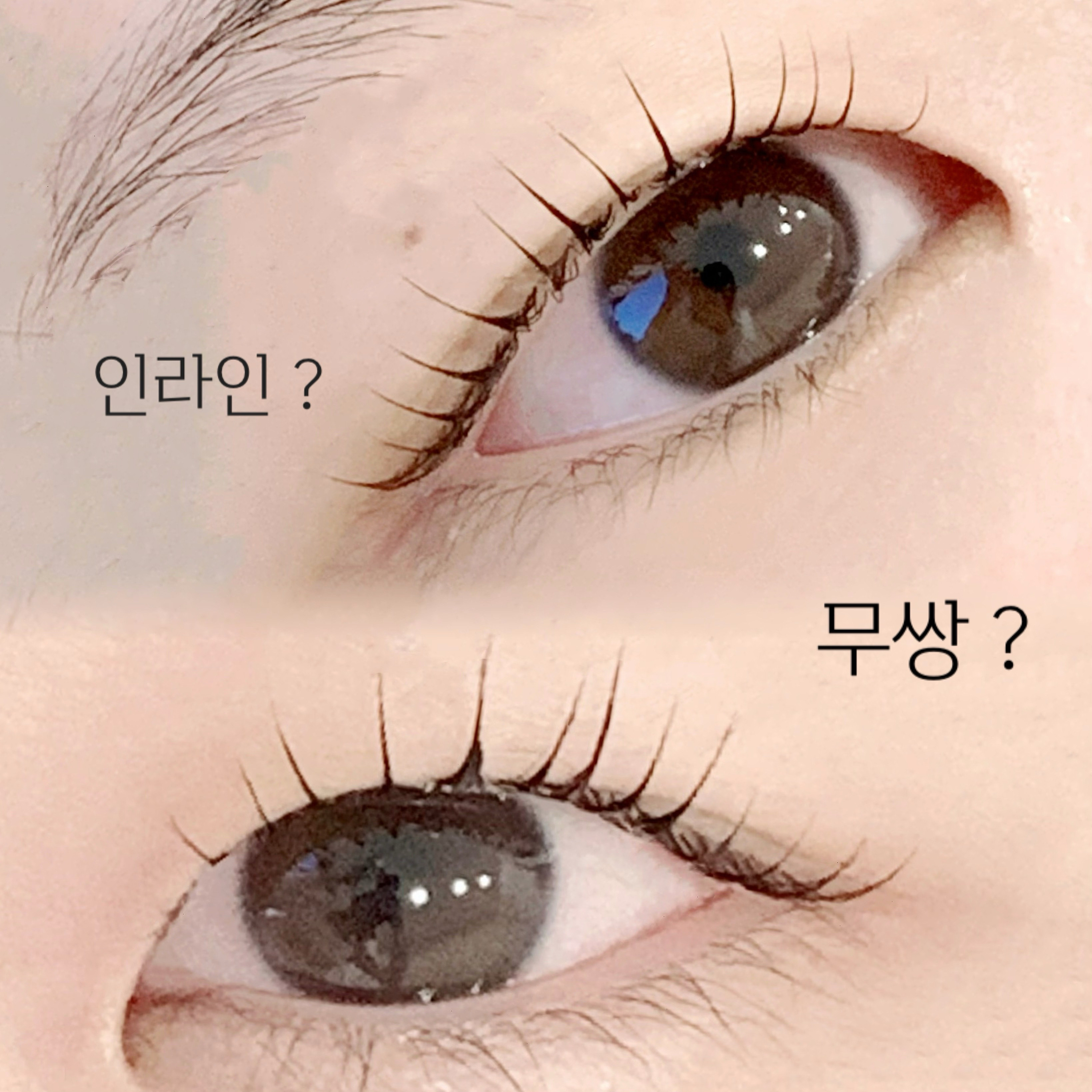 아끌래쉬