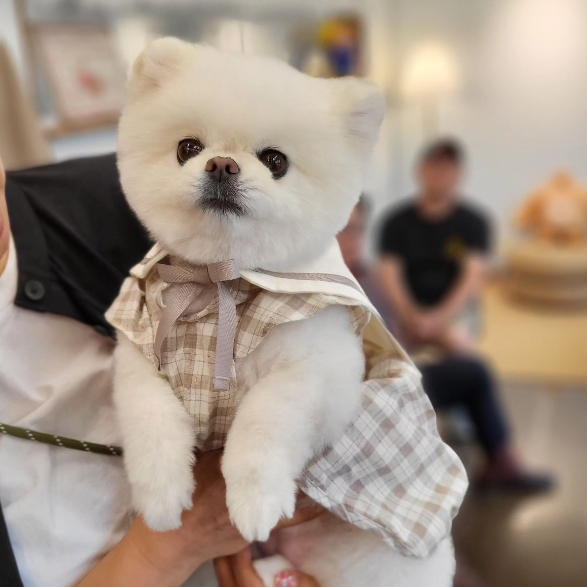 머멍스 커멍그라운드점 대표 이미지
