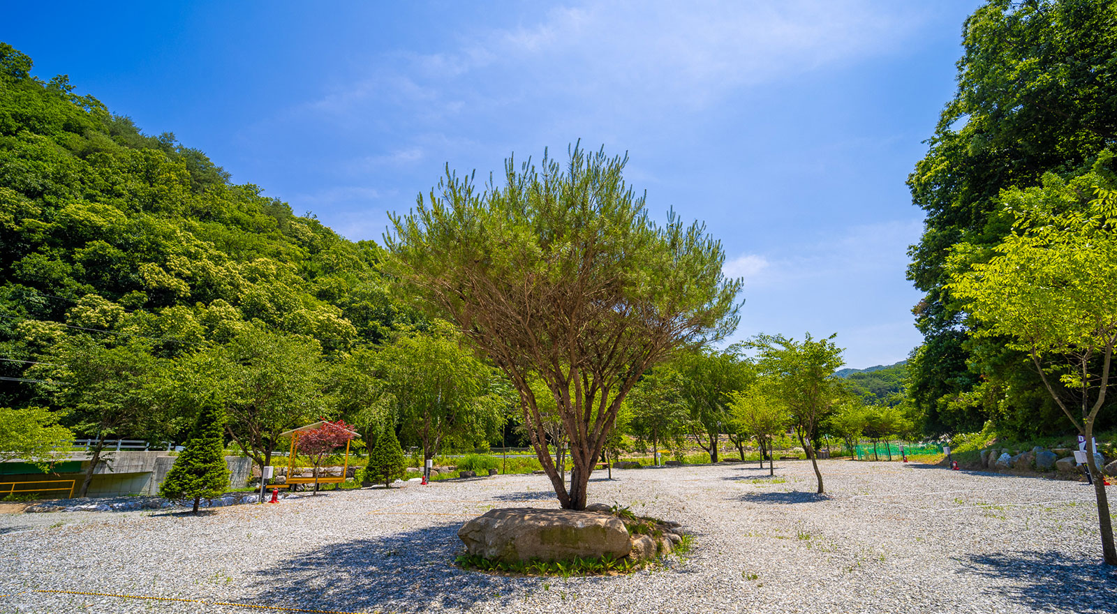 수동길170캠핑