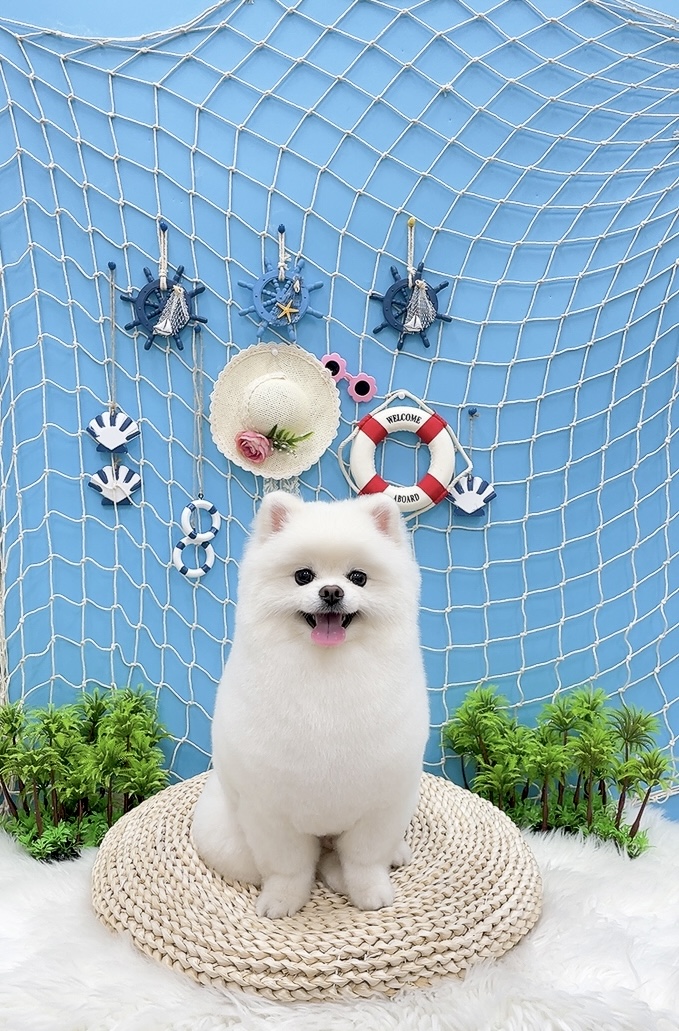 구루미