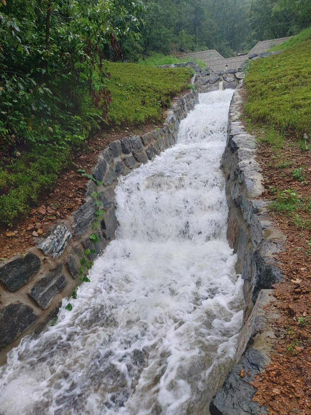 학교안 풍경캠핑장