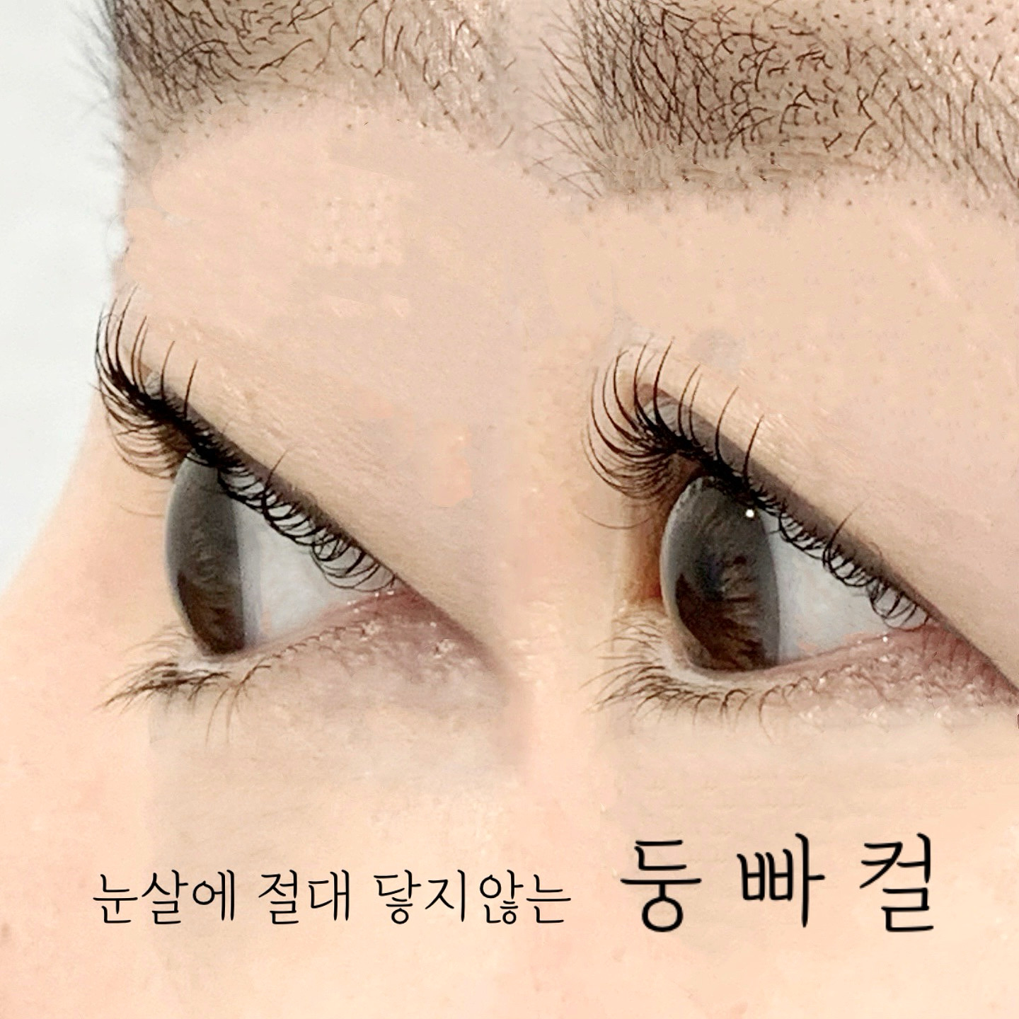 아끌래쉬