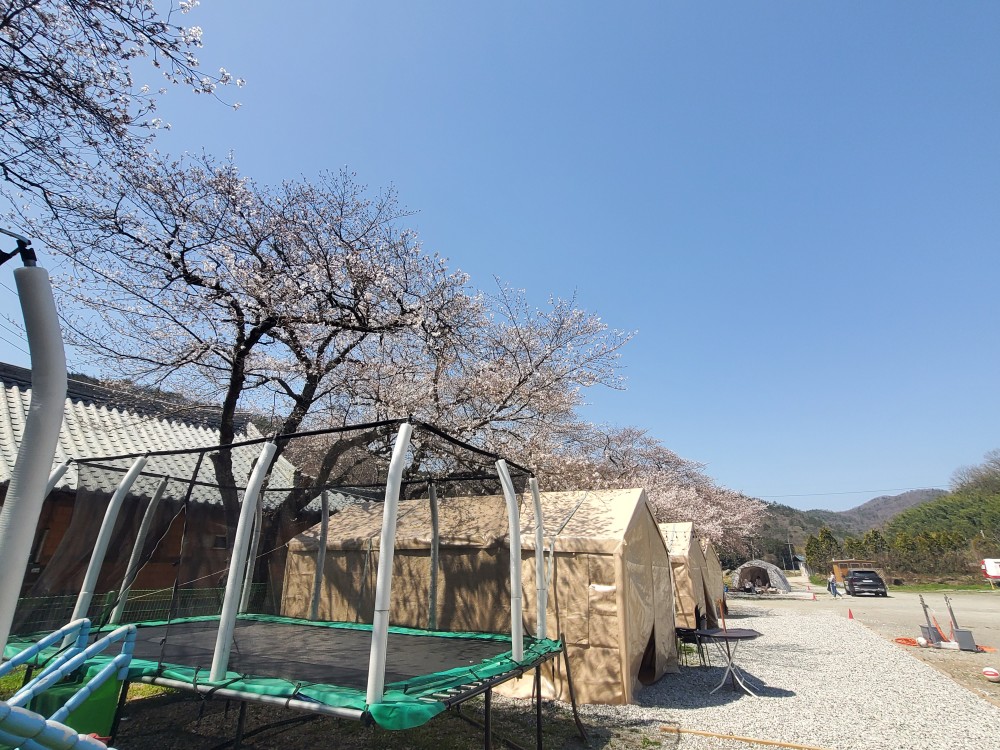 황토와 들꽃세상