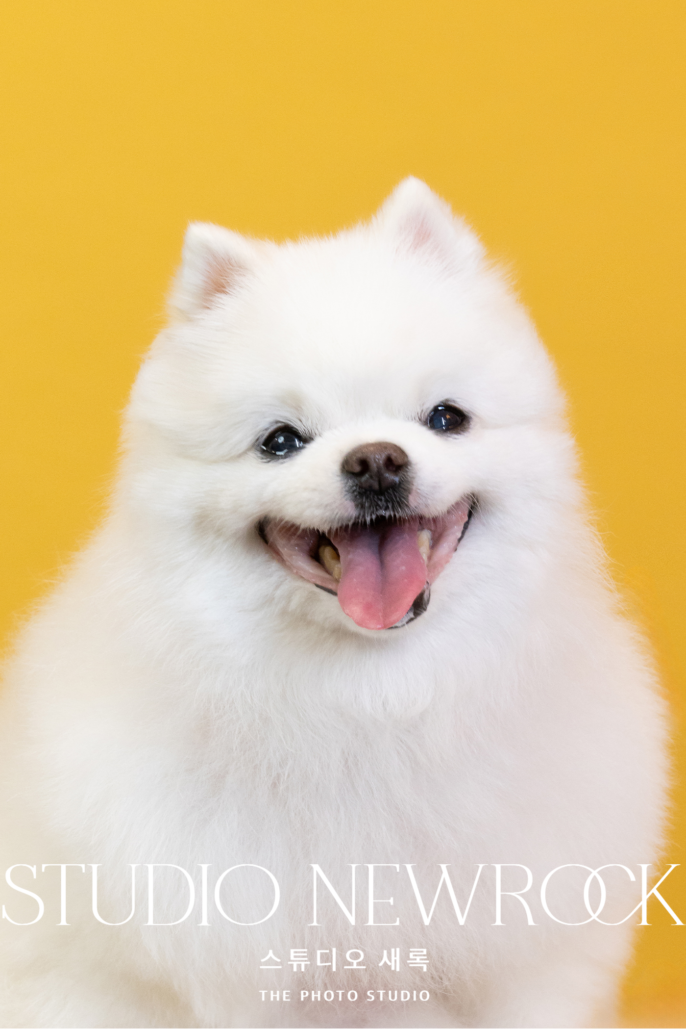 스튜디오 새록 대표 이미지