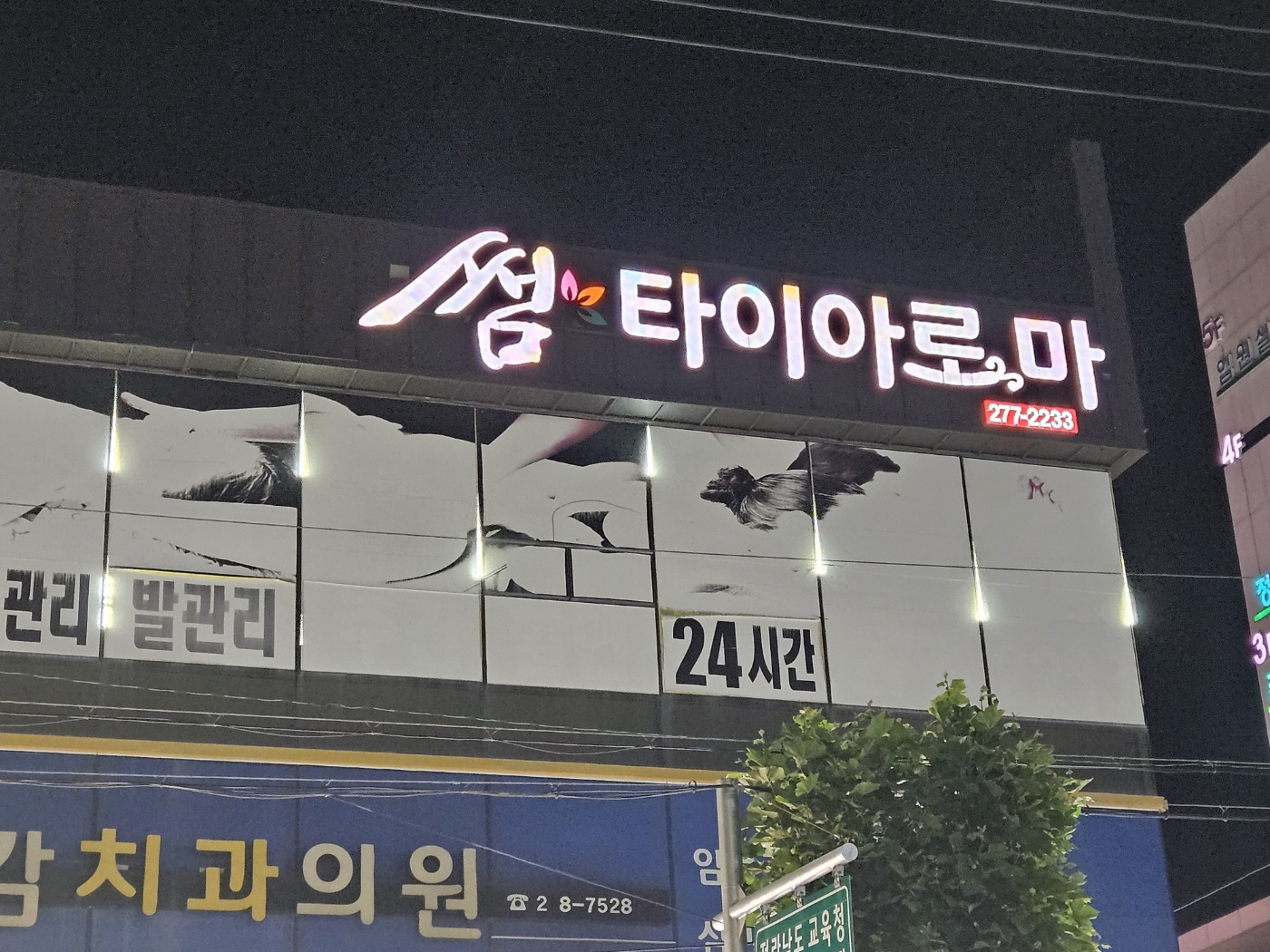 썸타이 대표 이미지