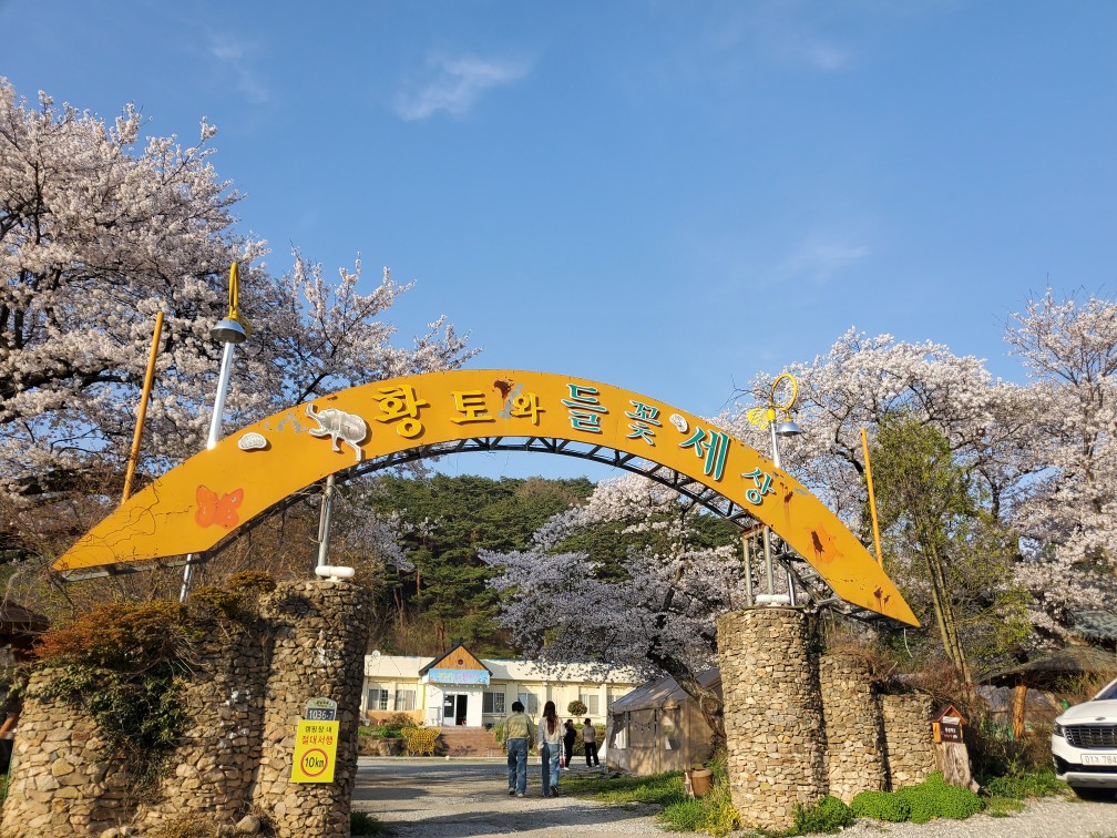 황토와 들꽃세상