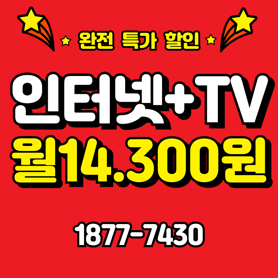 SK 티브로드 한빛방송 새한정보통신