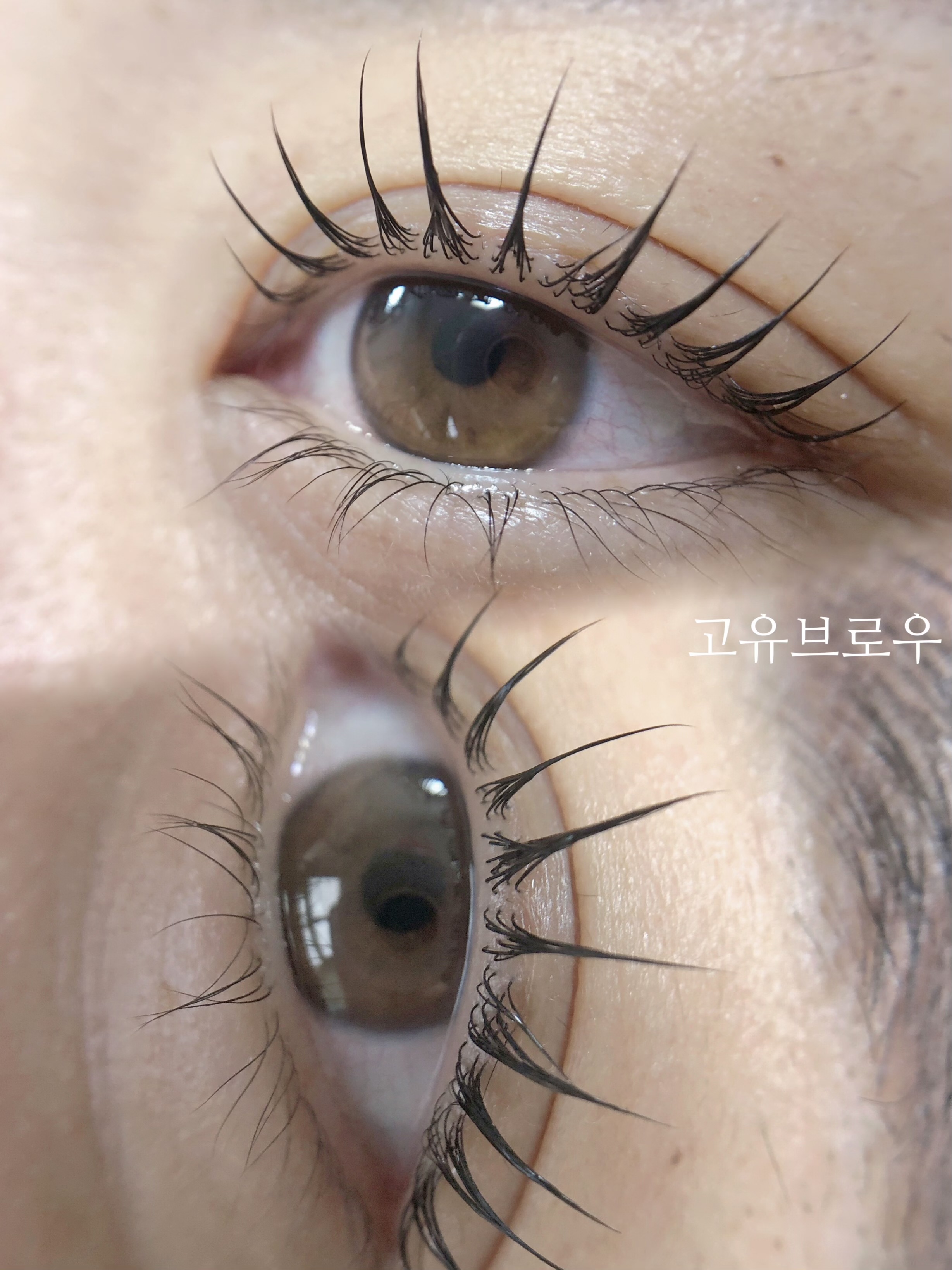 고유브로우 속눈썹펌눈썹 삼송점