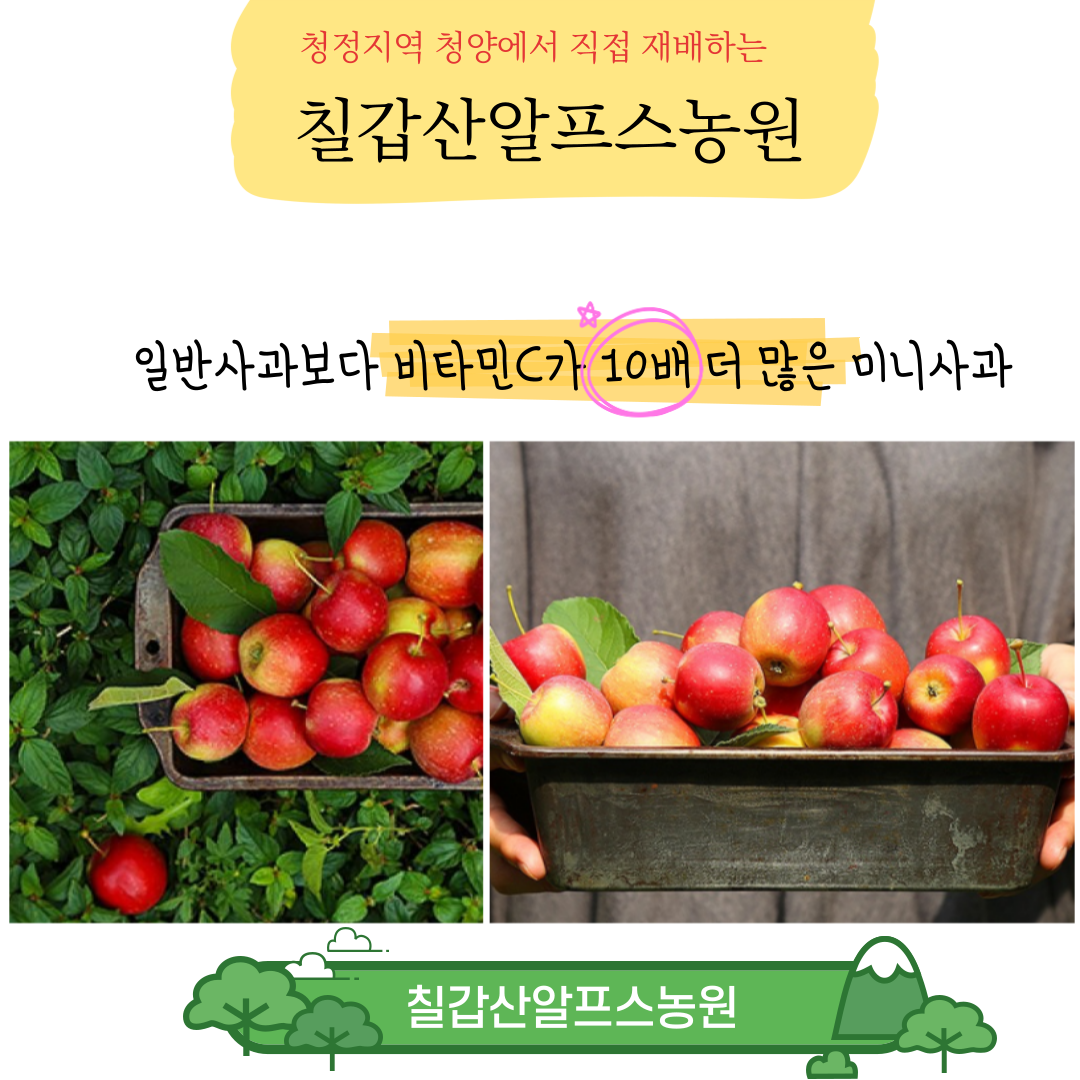 칠갑산알프스농원