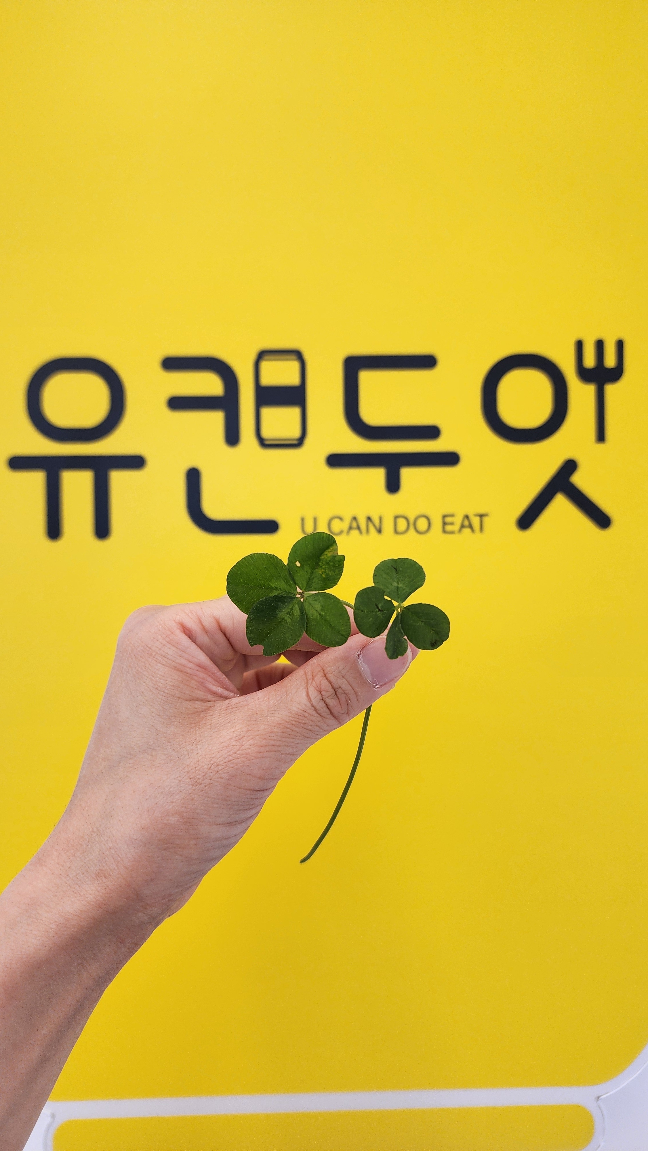 유캔두잇 포천일동점