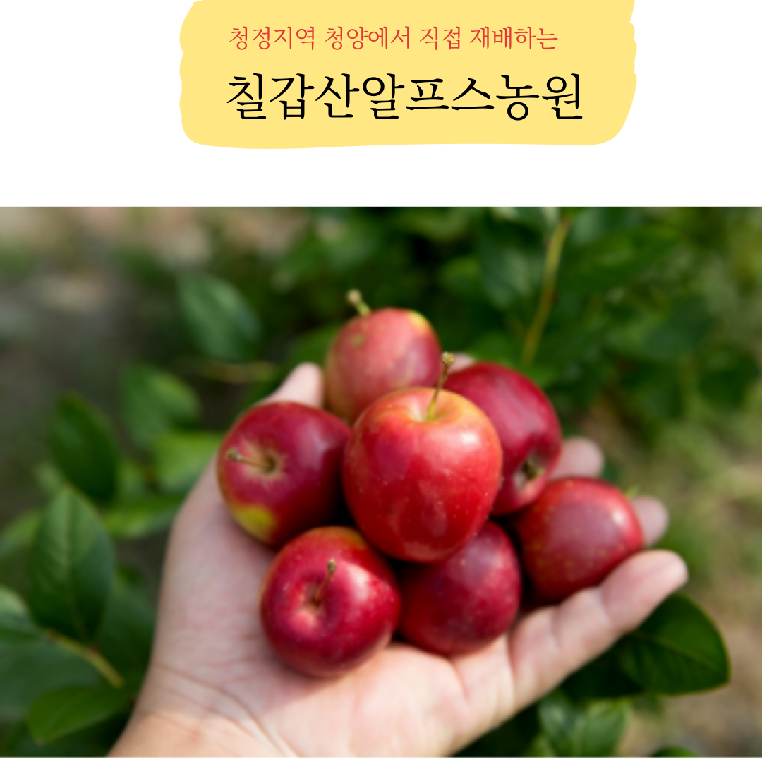 칠갑산알프스농원
