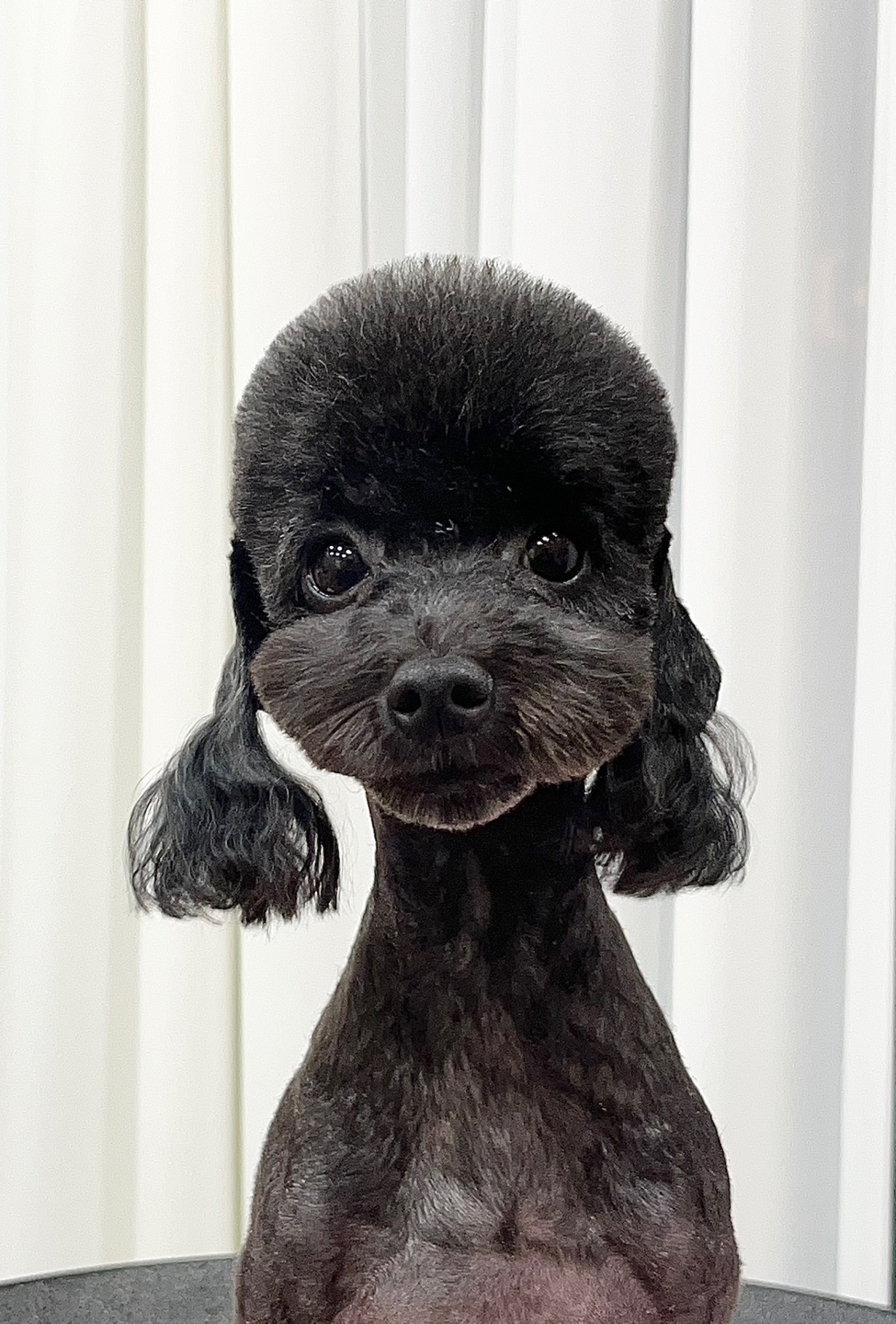 캄그루밍