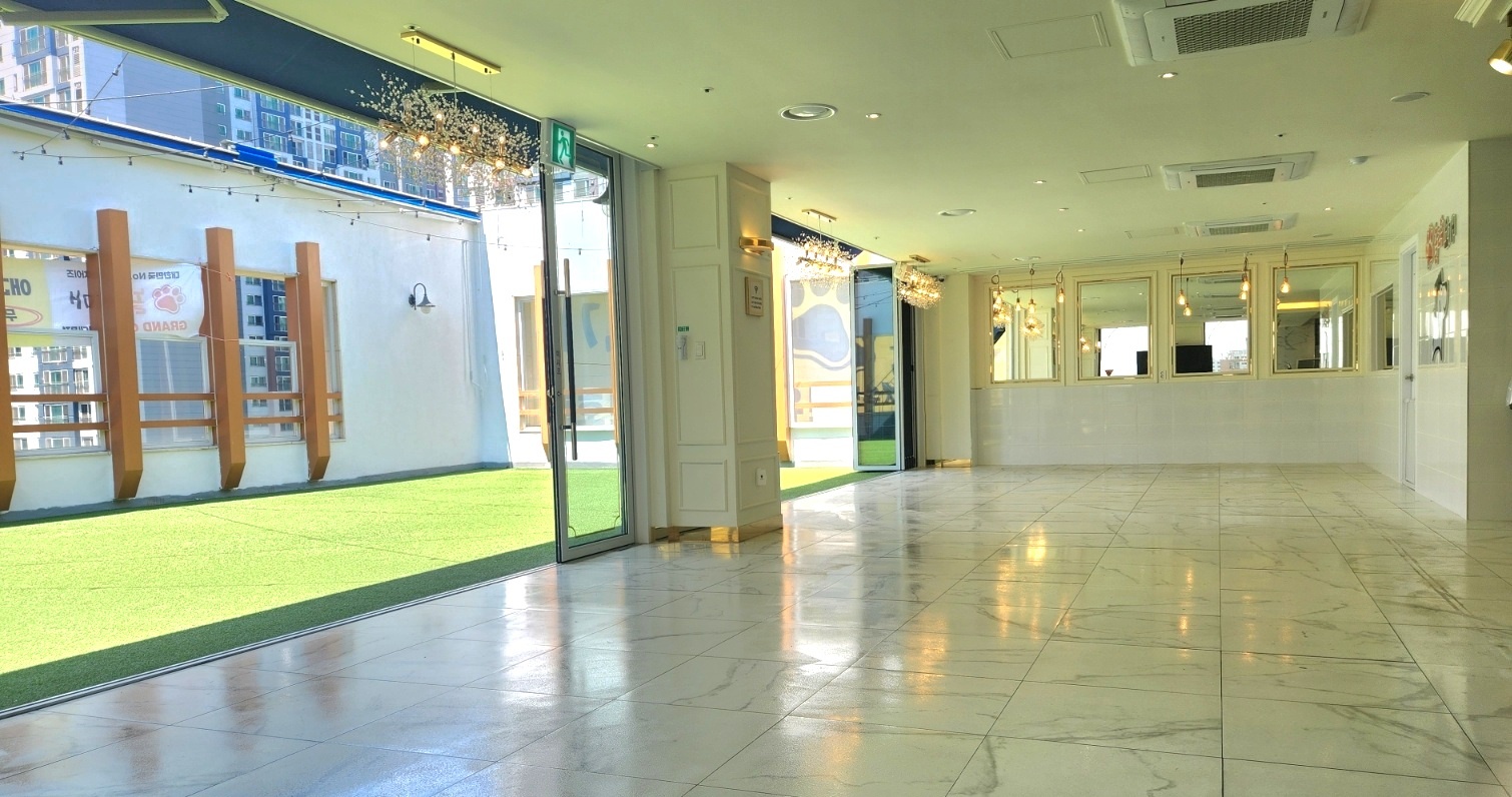 놀러오개 애견유치원 애견호텔 서대문점 대표 이미지