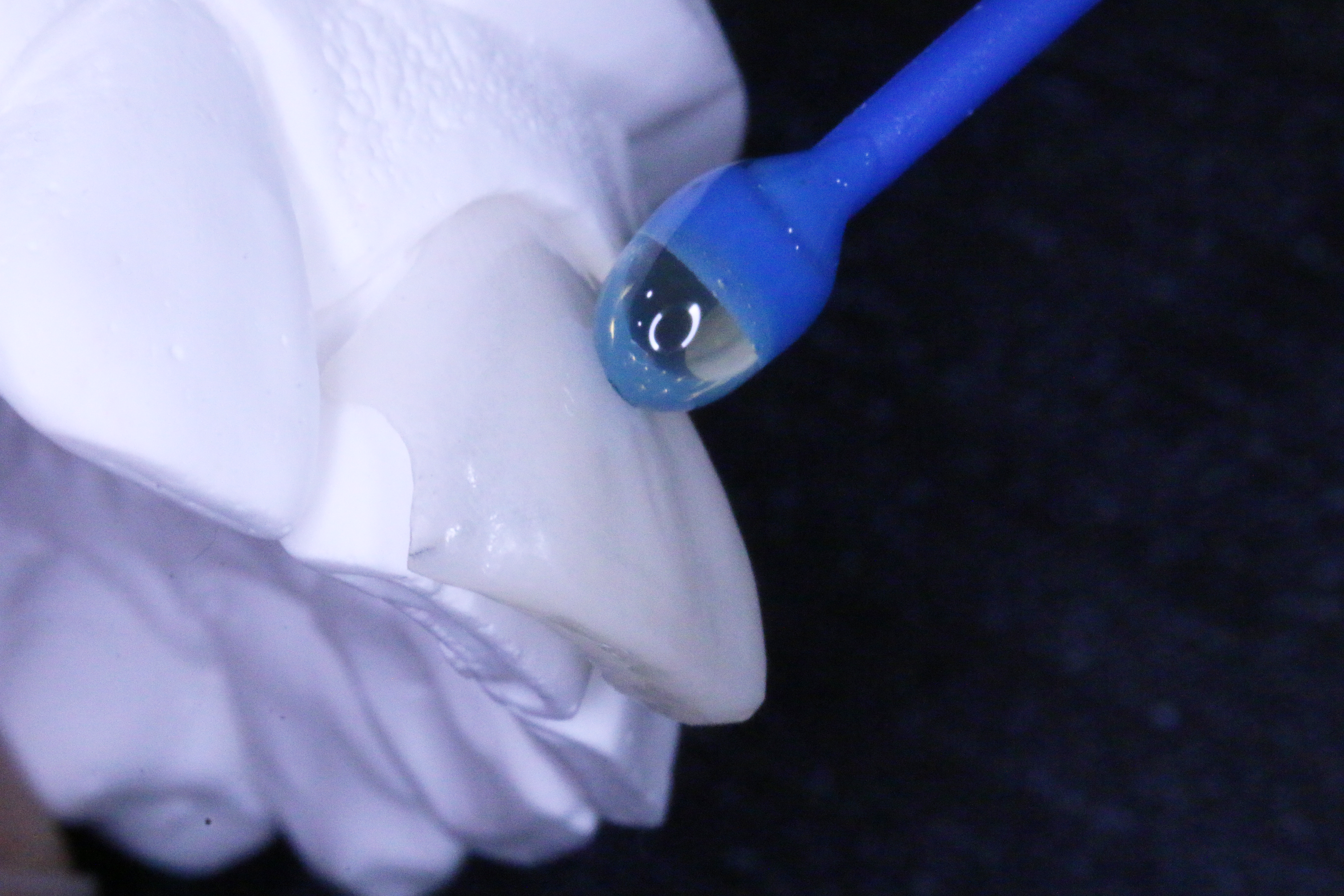 디투덴탈 대표 이미지