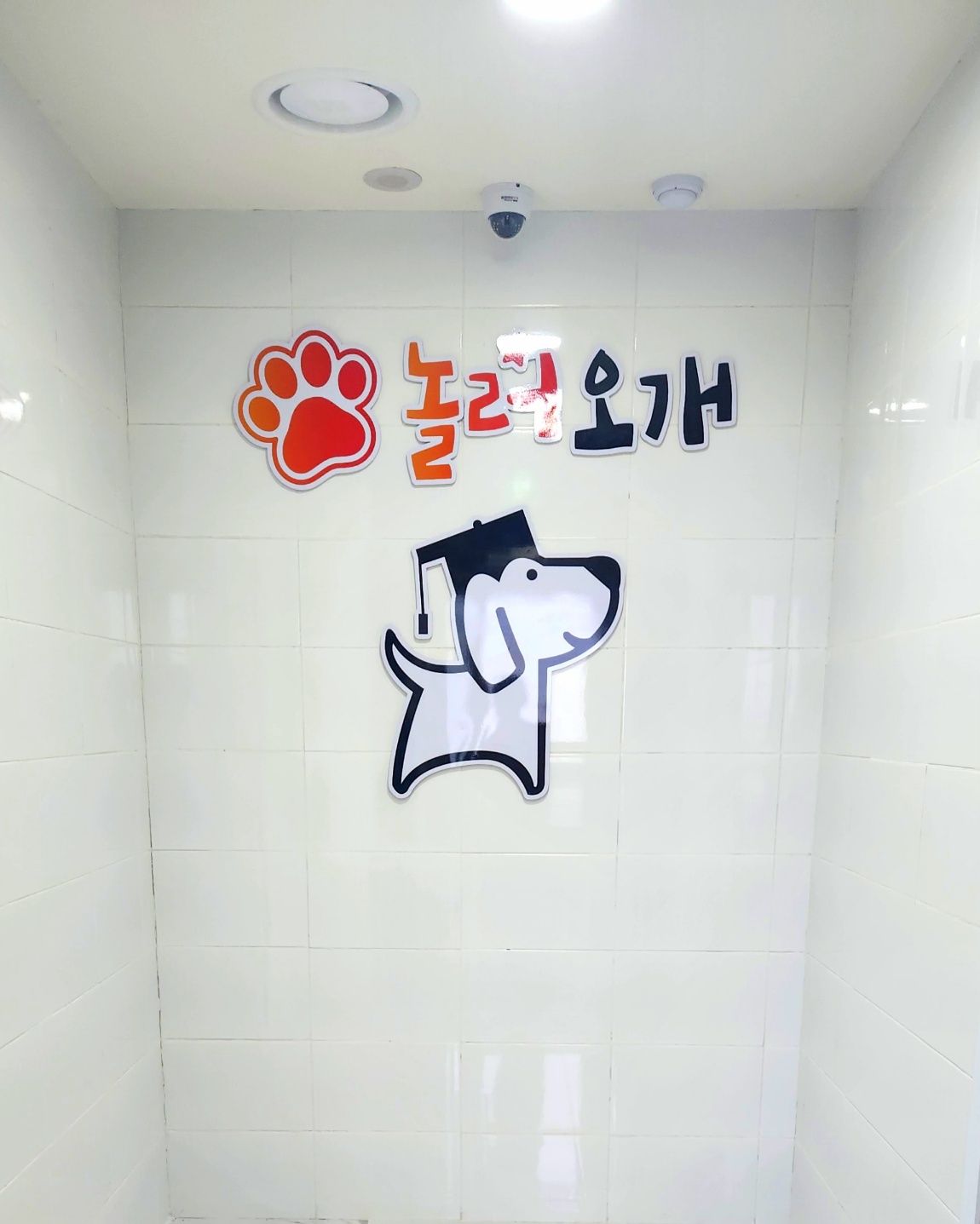 놀러오개 대표 이미지