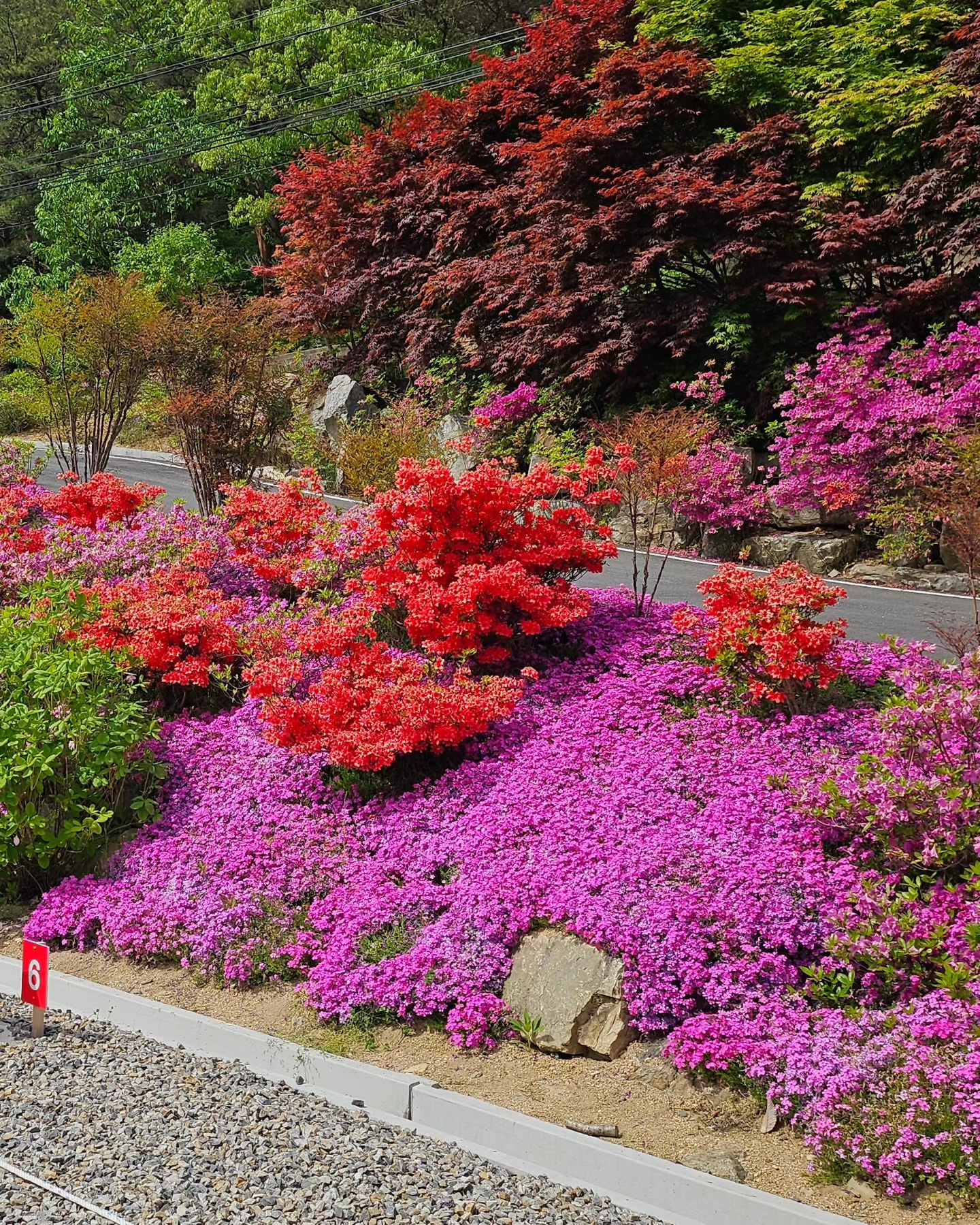 삼태기캠핑장