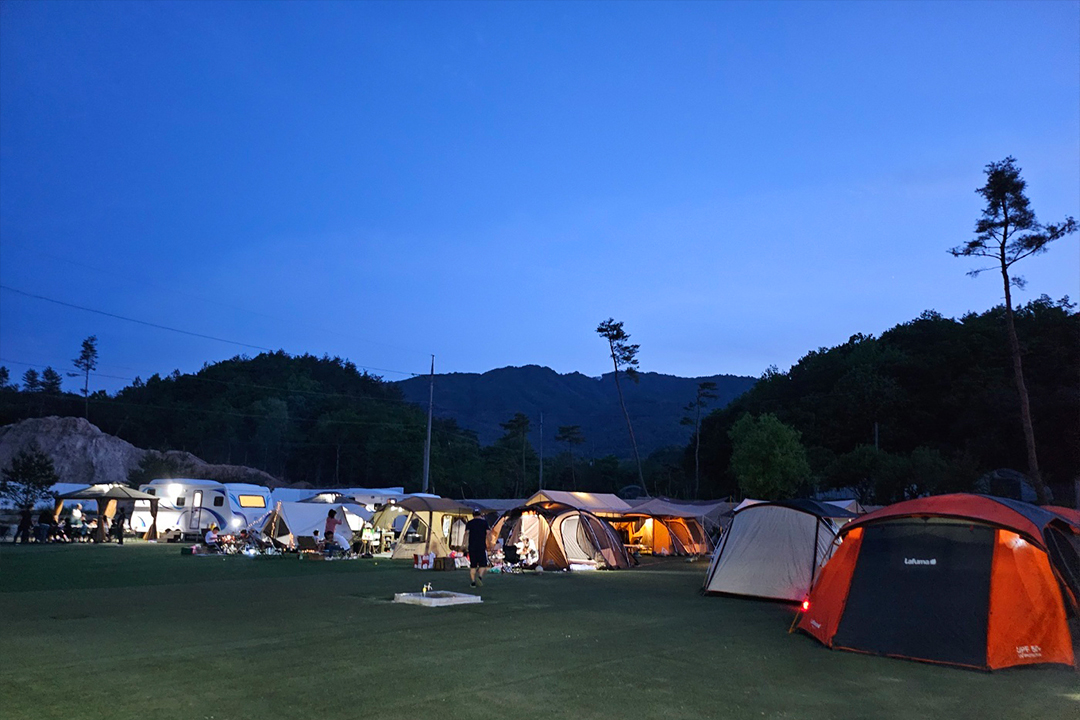 고성라벤더캠핑장