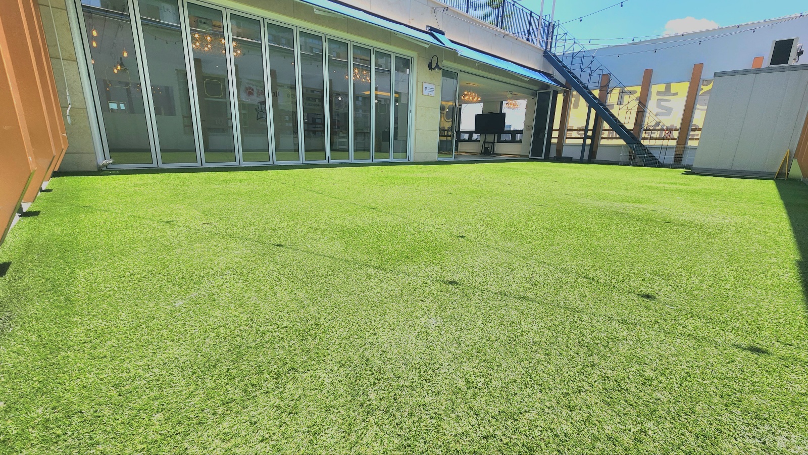 놀러오개 애견유치원 애견호텔 서대문점 대표 사진