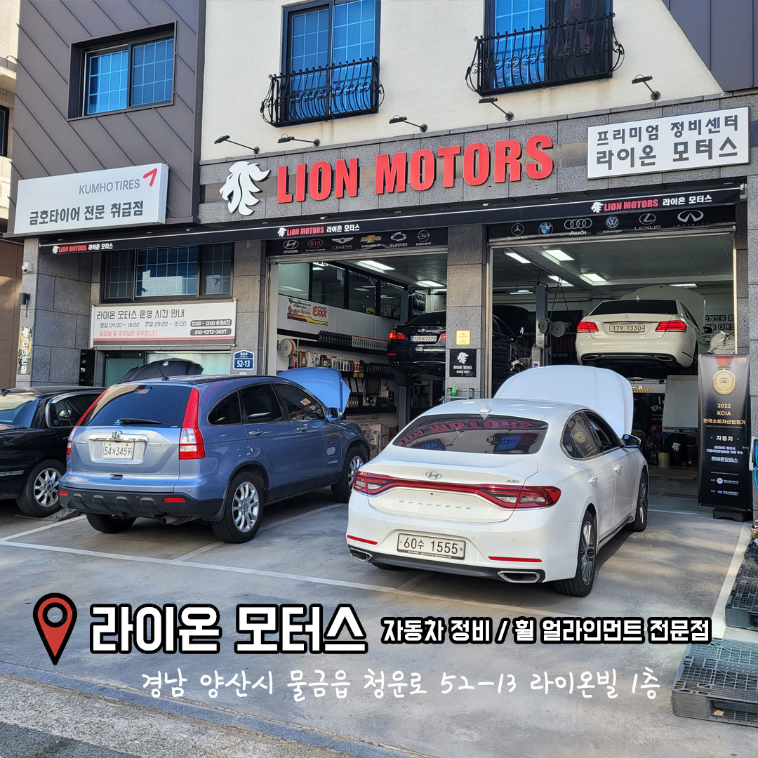 라이온 모터스