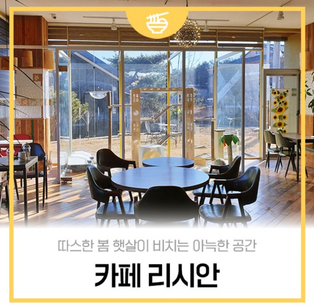 카페리시안 3