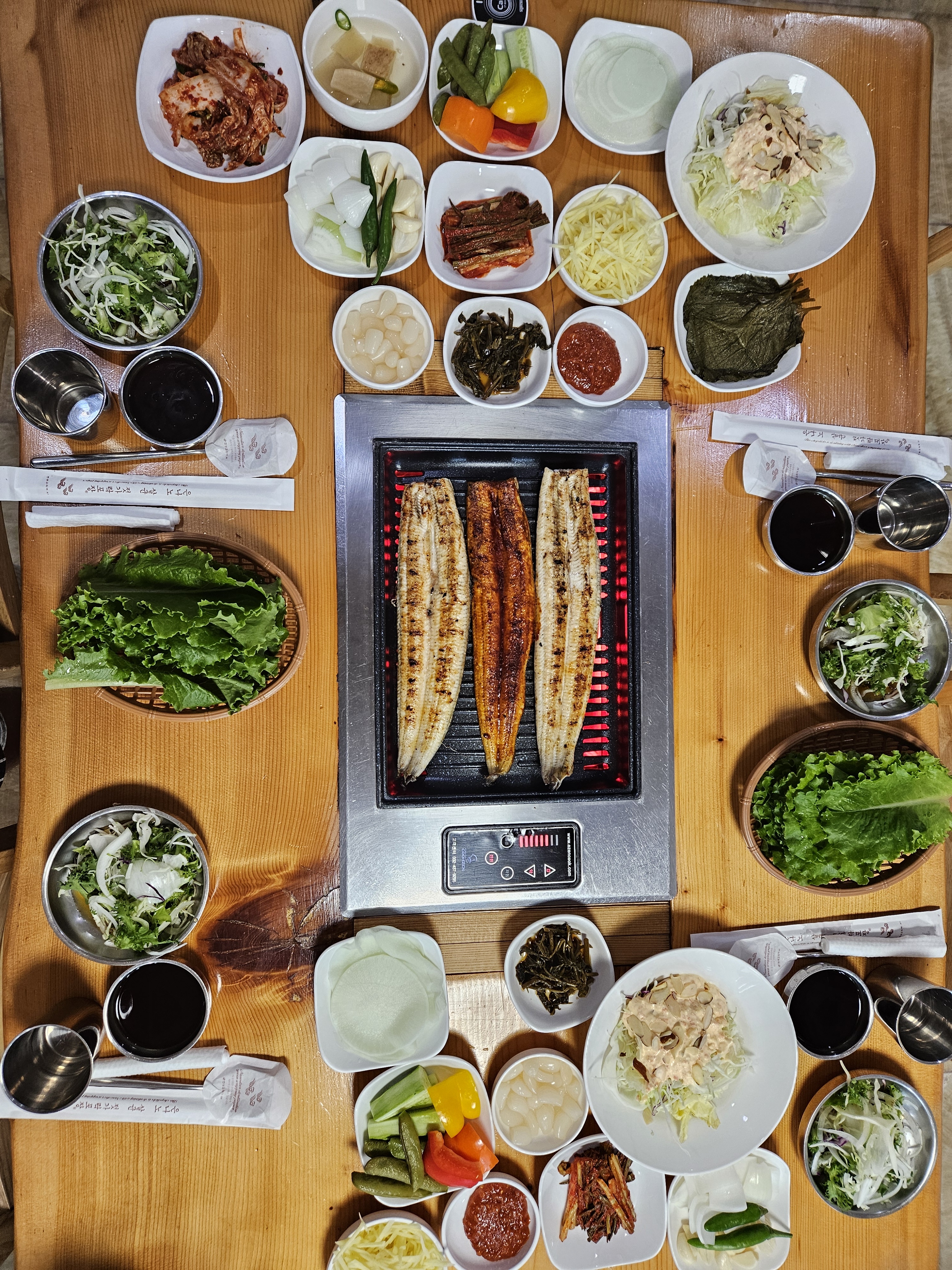 금강장어