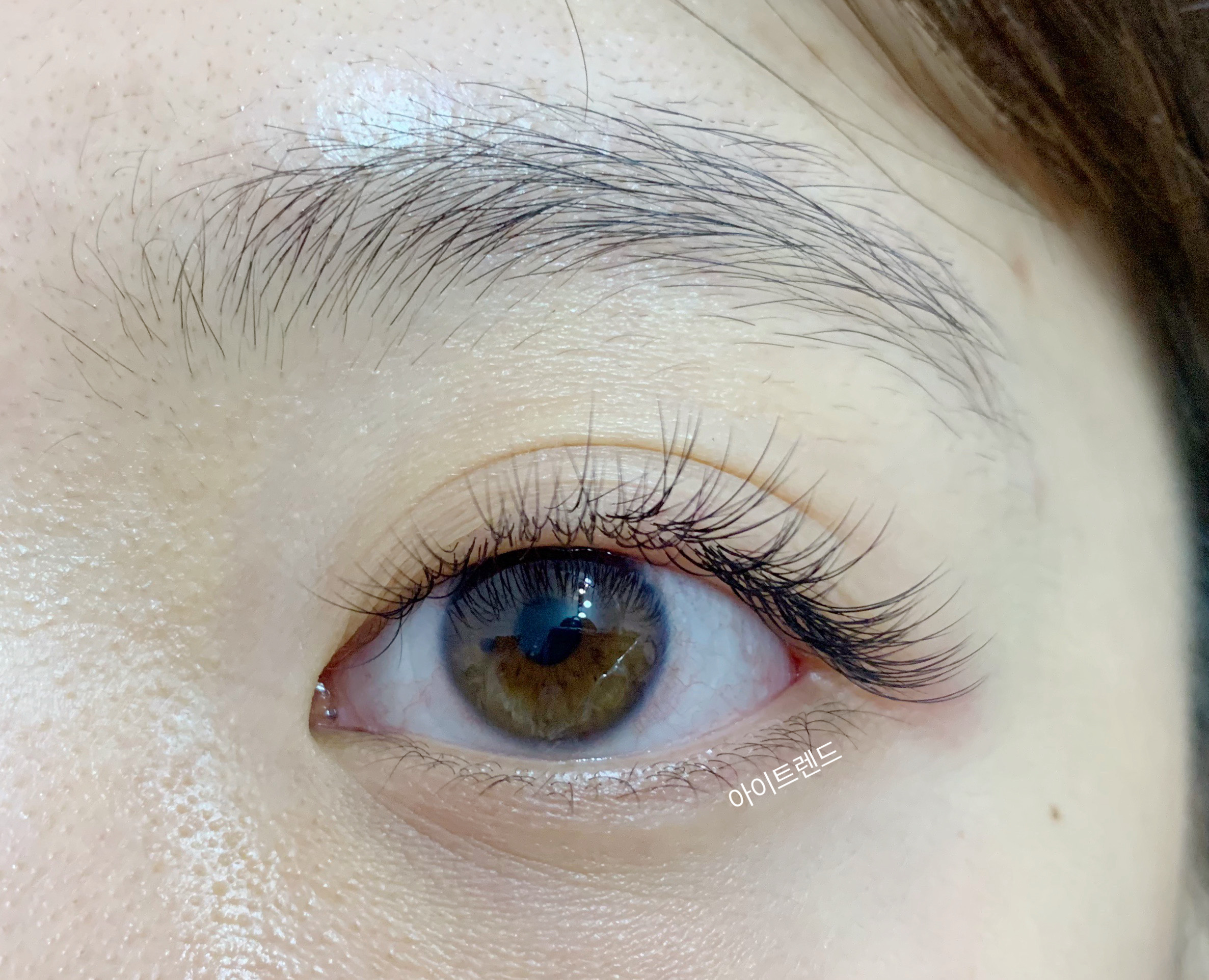 아이트렌드 대표 이미지