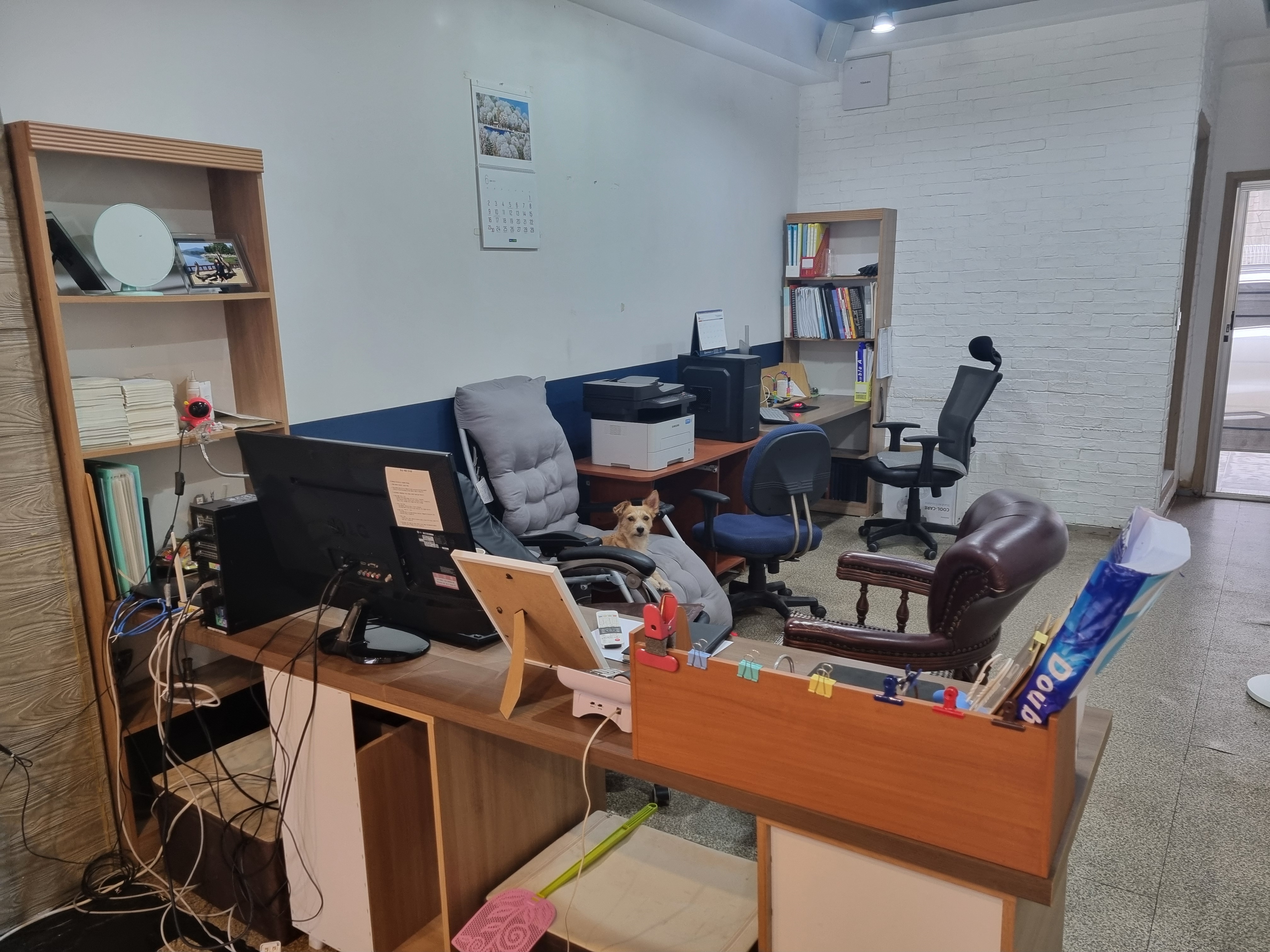 오포인력