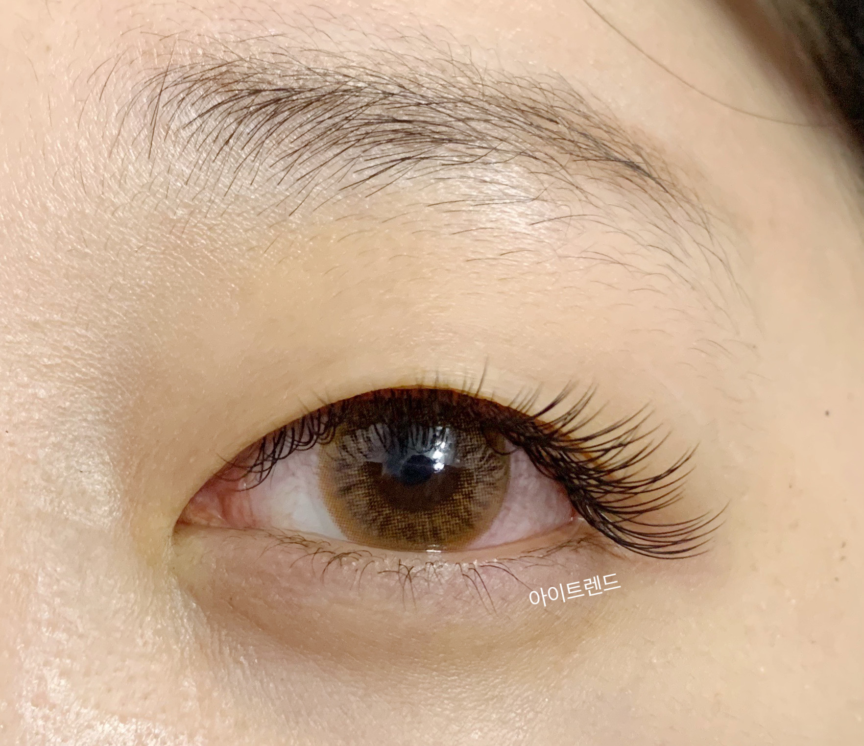 아이트렌드 대표 이미지