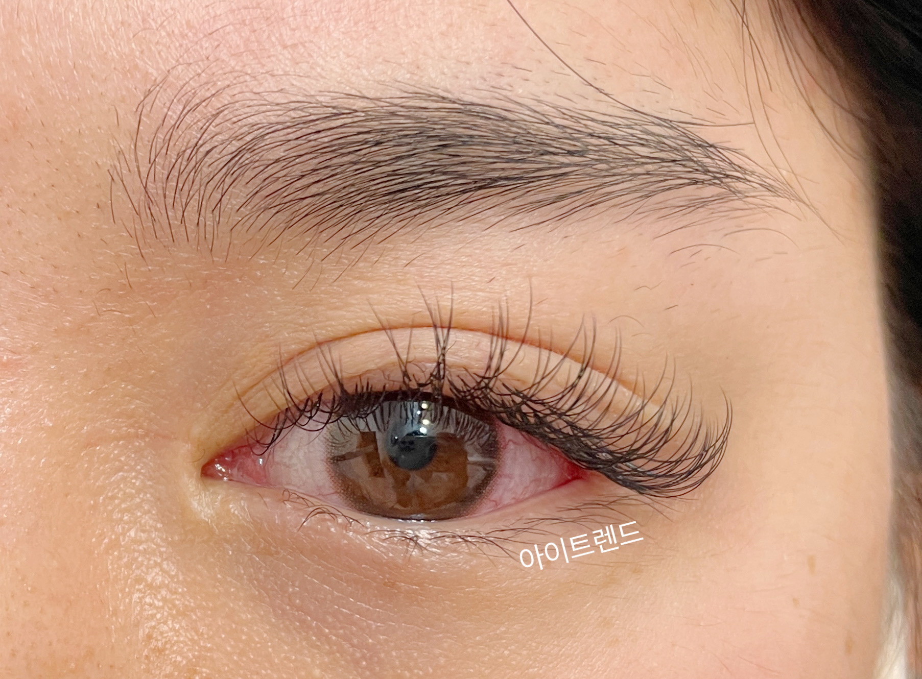 아이트렌드 대표 이미지