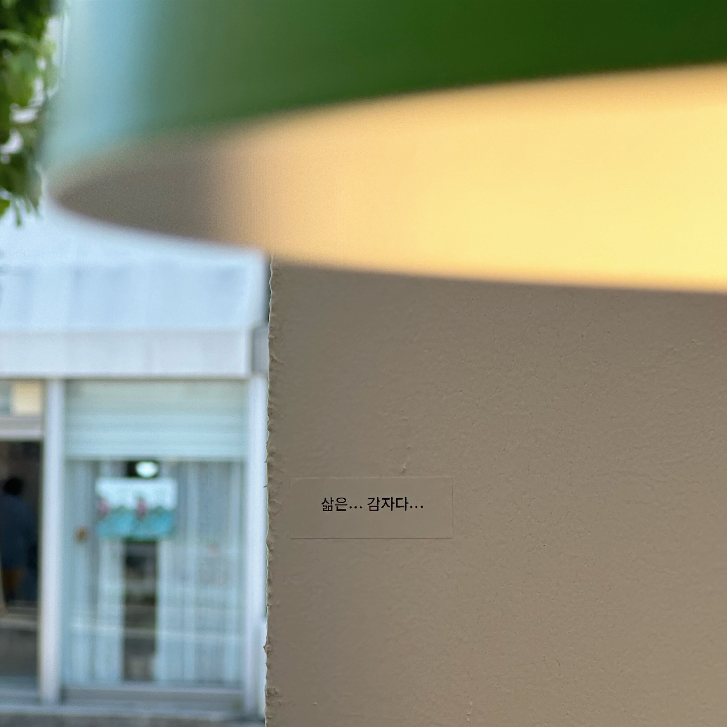 삶은감자 대표 이미지