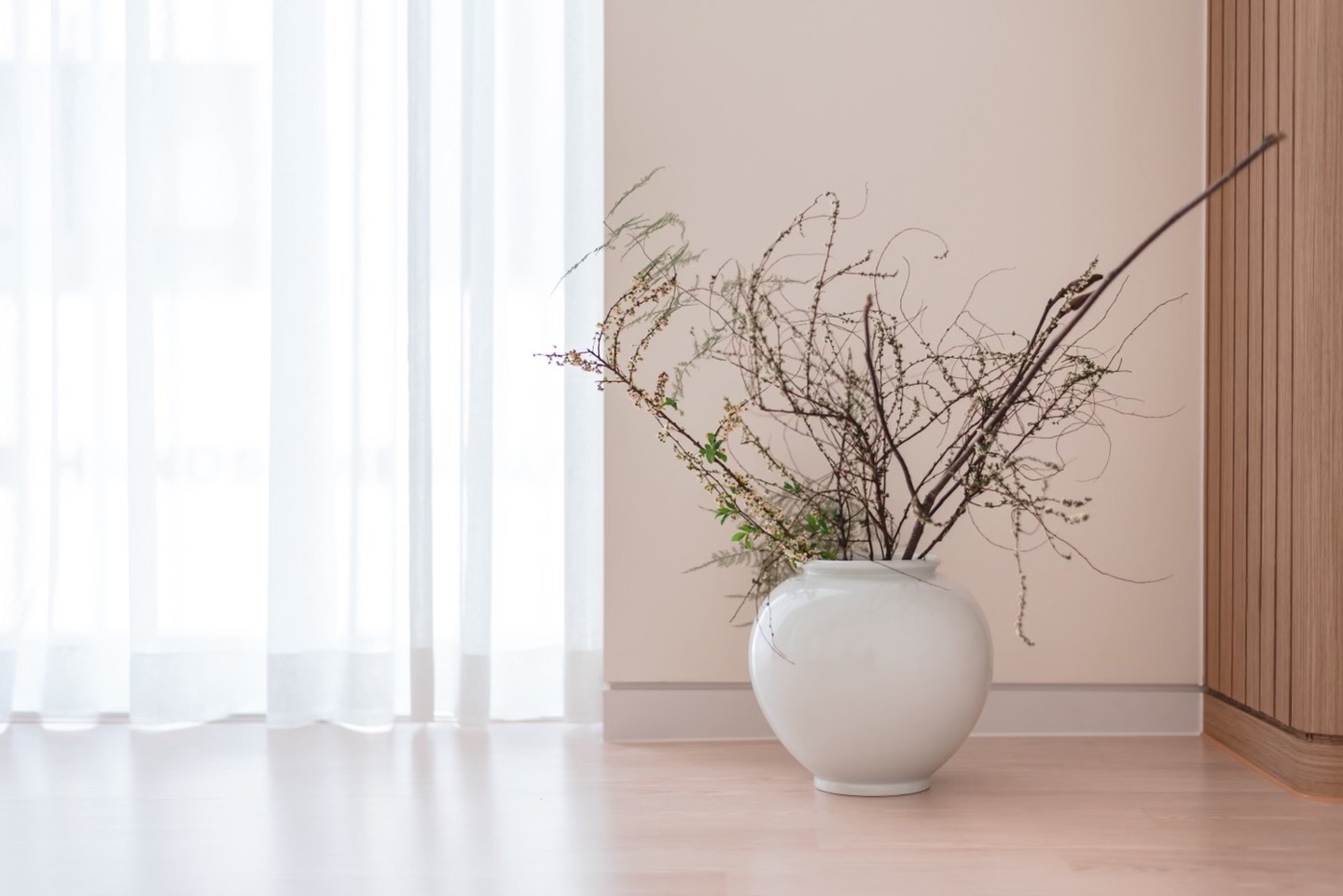 탄요가 대표 이미지