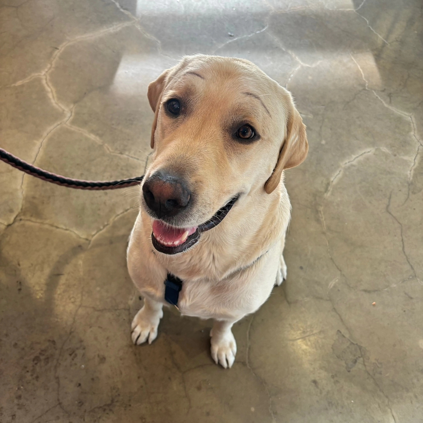 리네일 용봉전대점 대표 이미지