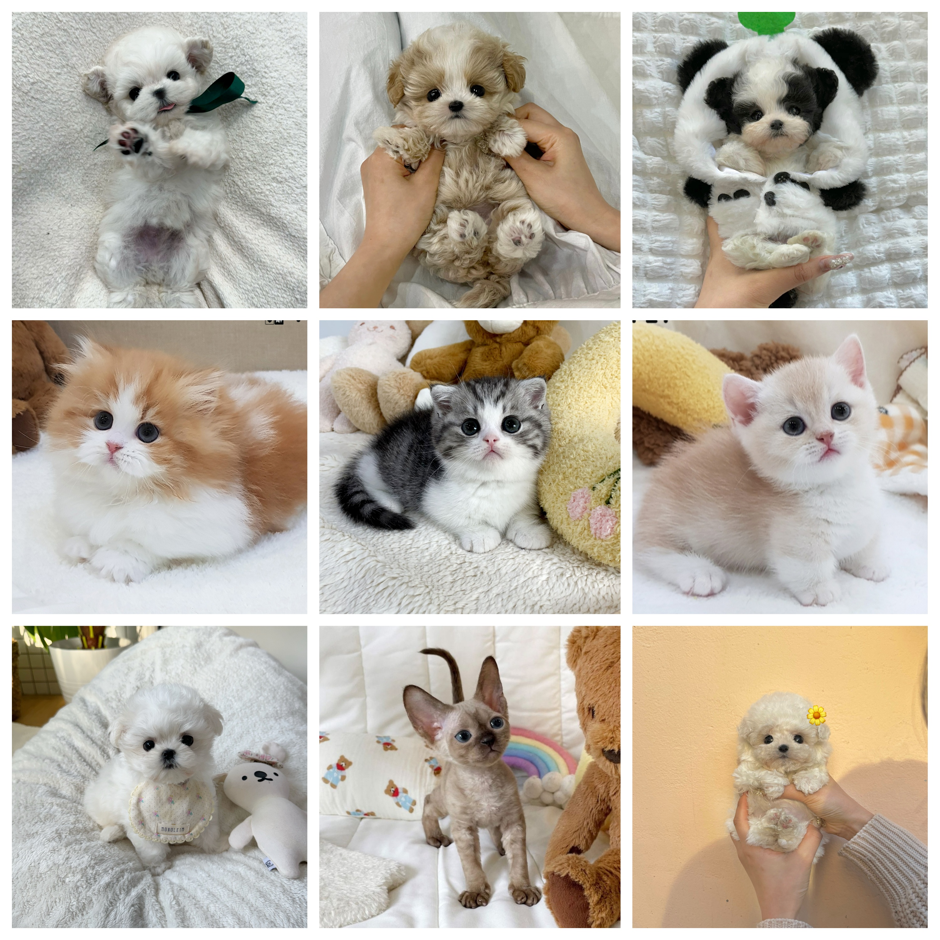 요미독 마포점