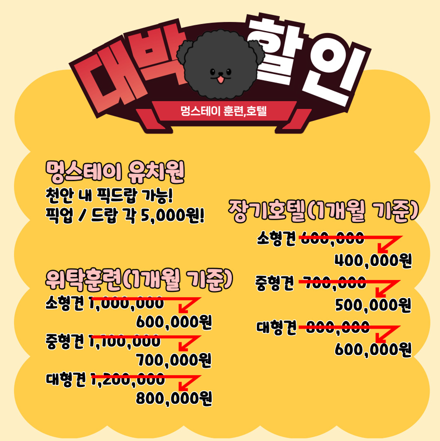 멍스테이 반려동물 동반 애견카페