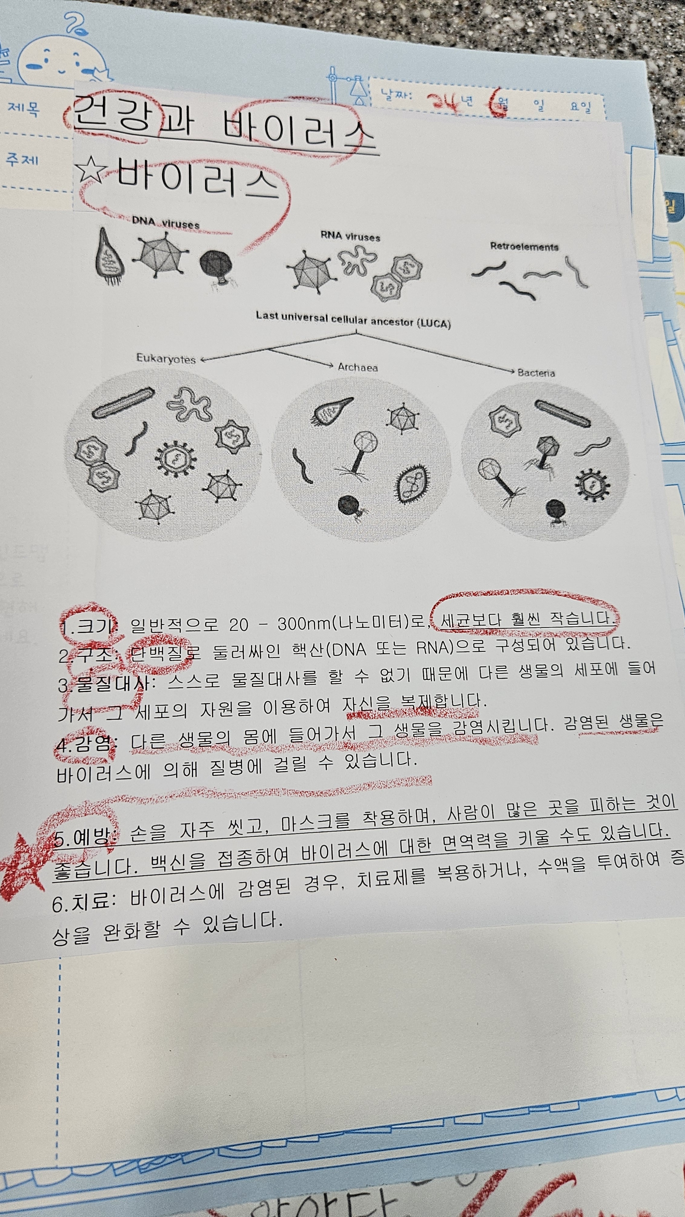 대청초 하연과학실험