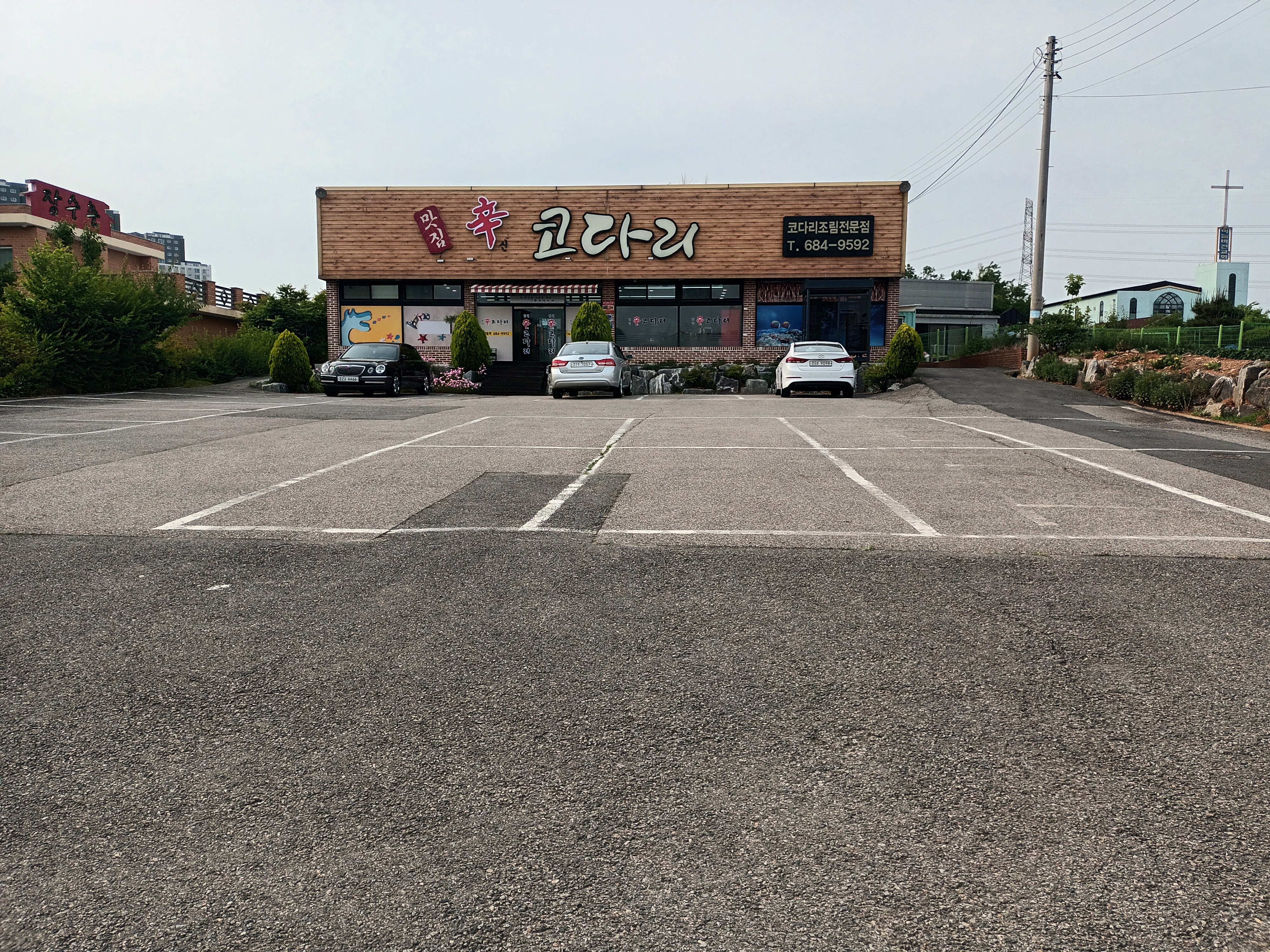 맛집 신 코다리