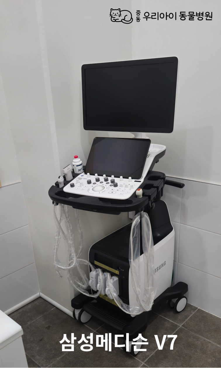 중동우리아이동물병원