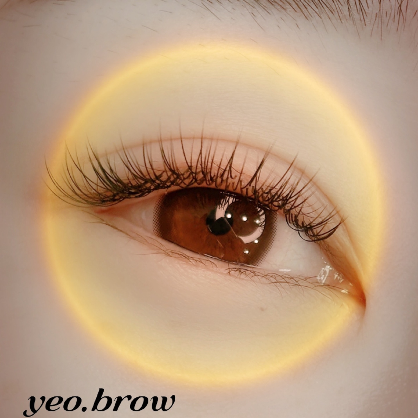 여브로우