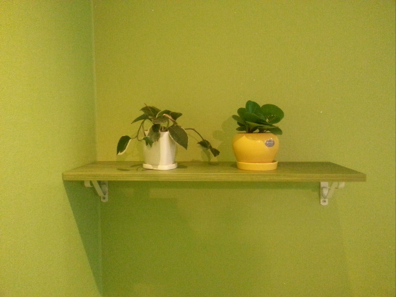 라비아테라피 photo 5