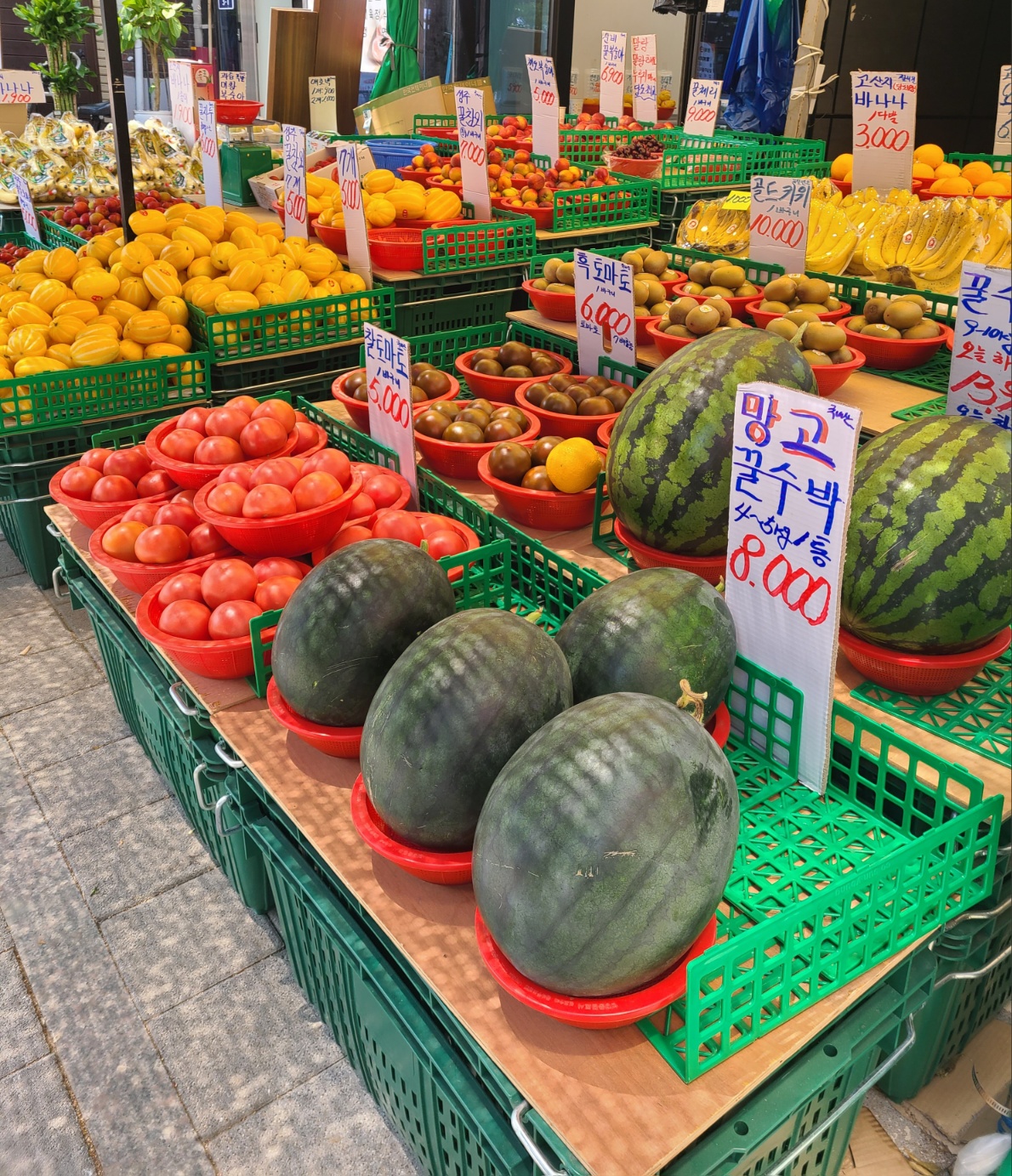 로타리야채청과