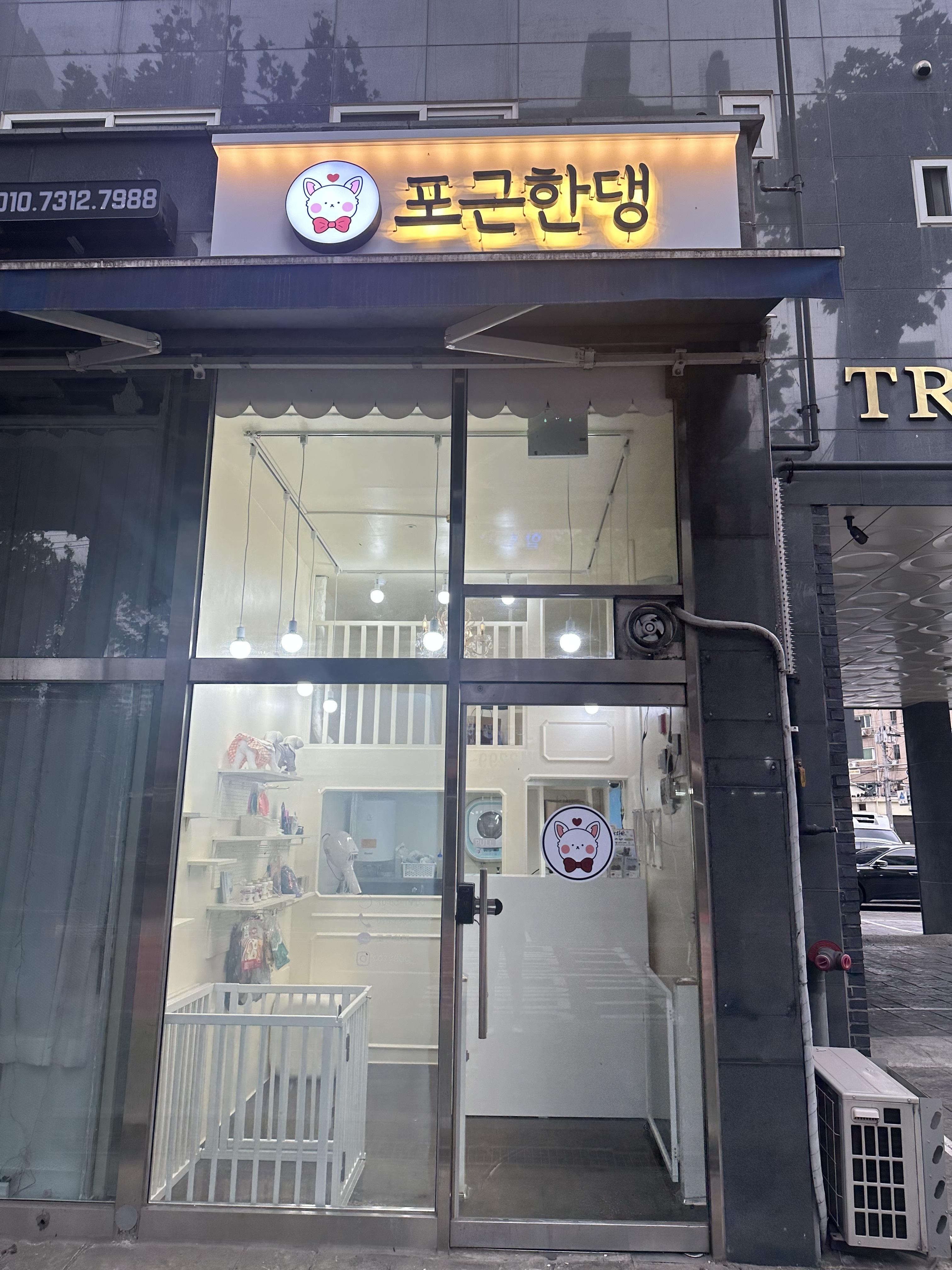 포근한댕 대표 이미지