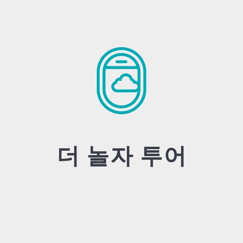 더놀자투어